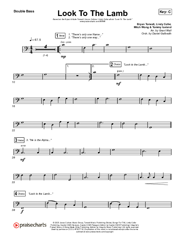 Look To The Lamb (Live) Double Bass (Bryan & Katie Torwalt / Lindy Cofer / Jesus Culture)