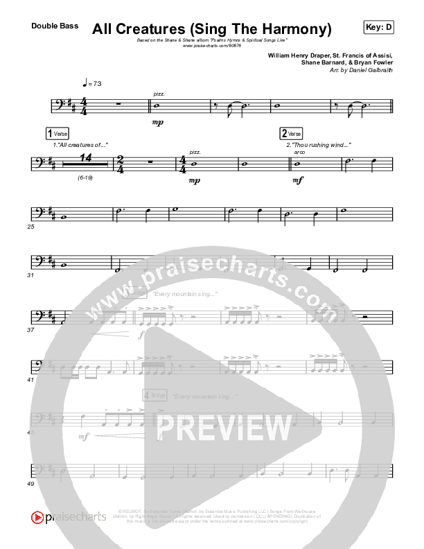 All Creatures (Sing In Harmony) (Live) String Bass (Shane & Shane)