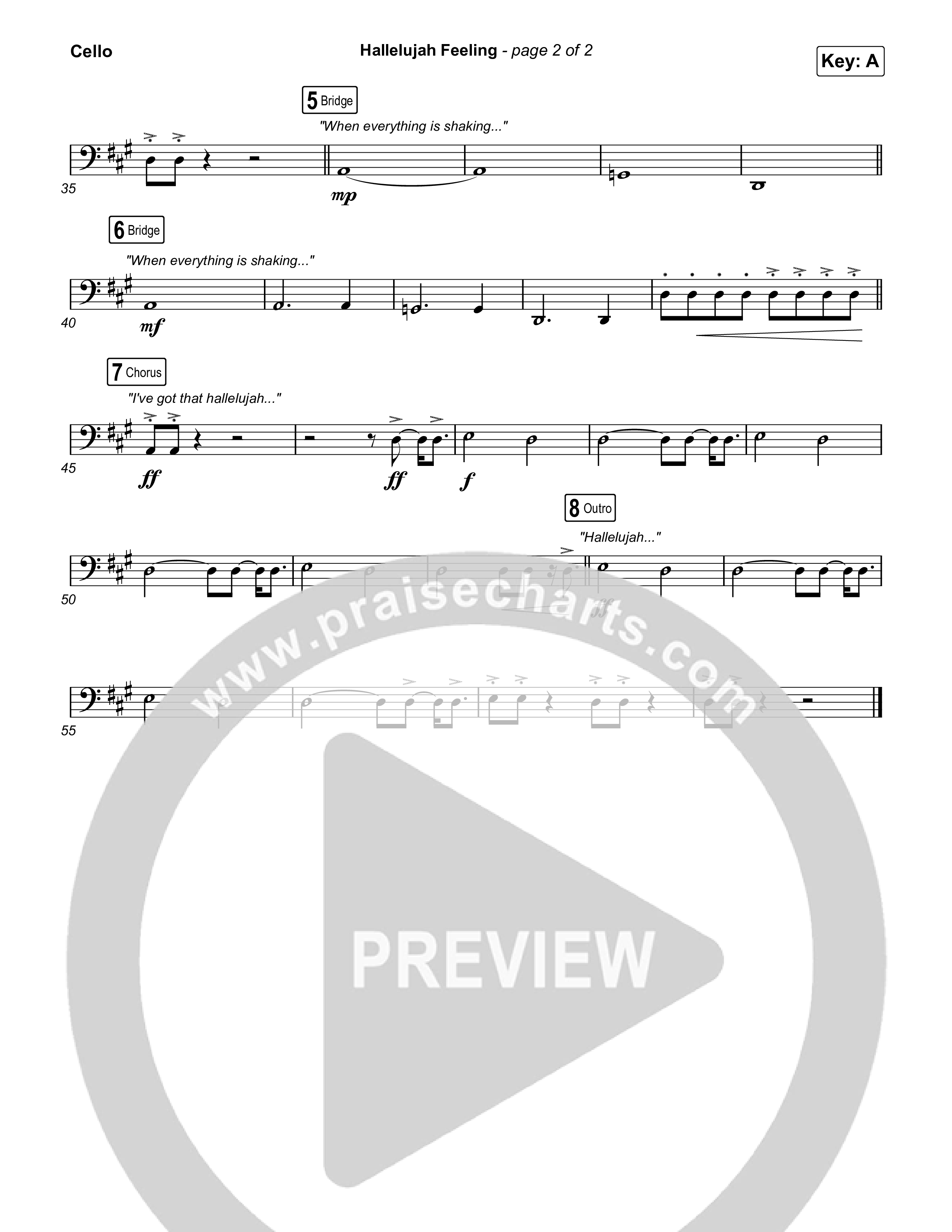 Hallelujah Feeling Cello (Caleb & John)