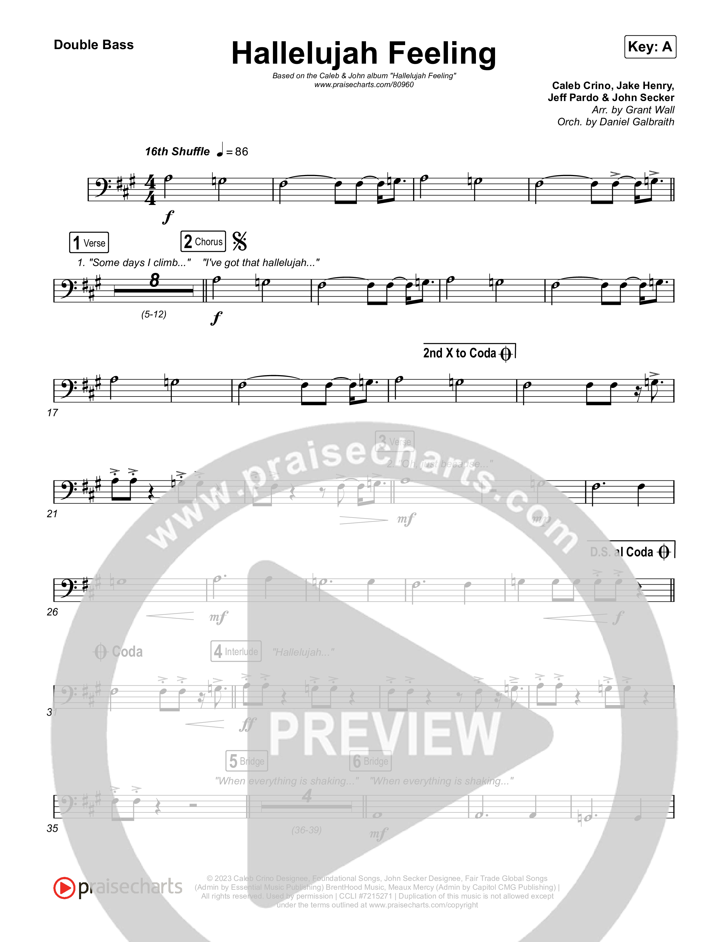 Hallelujah Feeling Double Bass (Caleb & John)