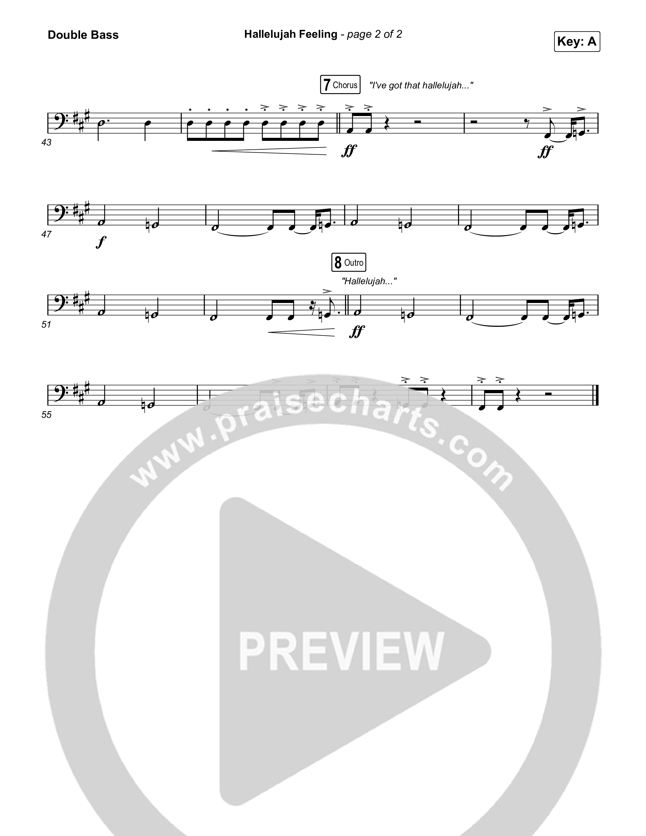 Hallelujah Feeling Double Bass (Caleb & John)