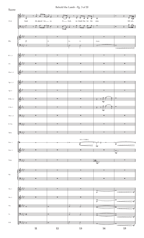 Behold The Lamb (Choral Anthem SATB) Orchestration (Lifeway Choral / Arr. Bradley Knight)