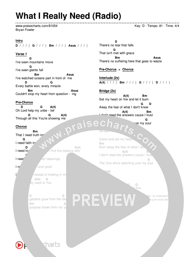 What I Really Need (Radio) Chords & Lyrics (Bryan Fowler)