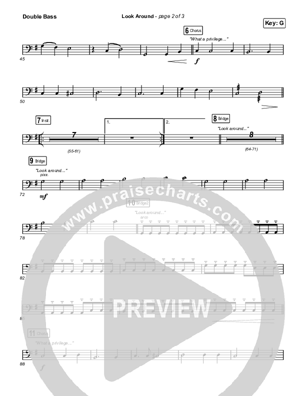 Look Around Double Bass (Housefires / Cecily)