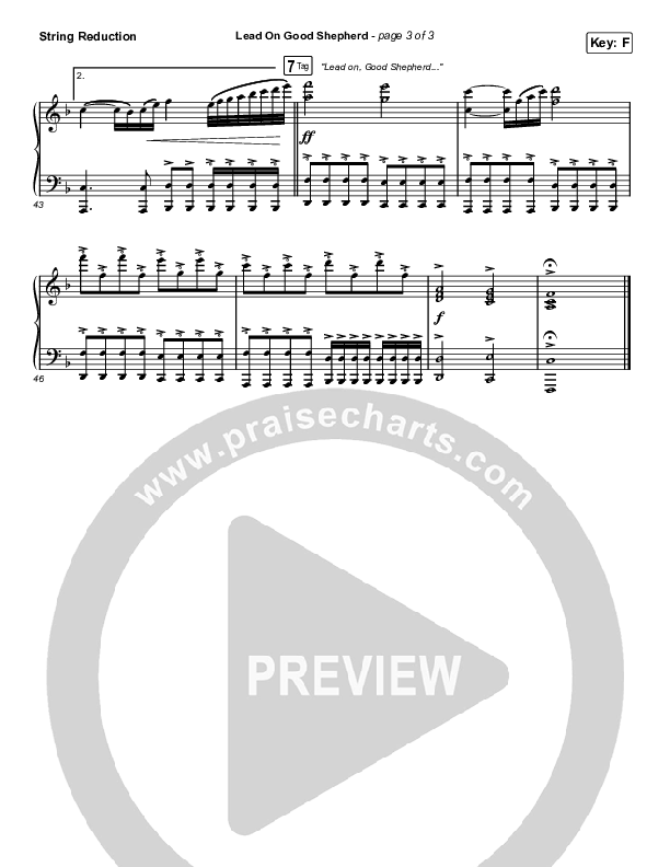 Lead On Good Shepherd String Reduction (Patrick Mayberry / Crowder)