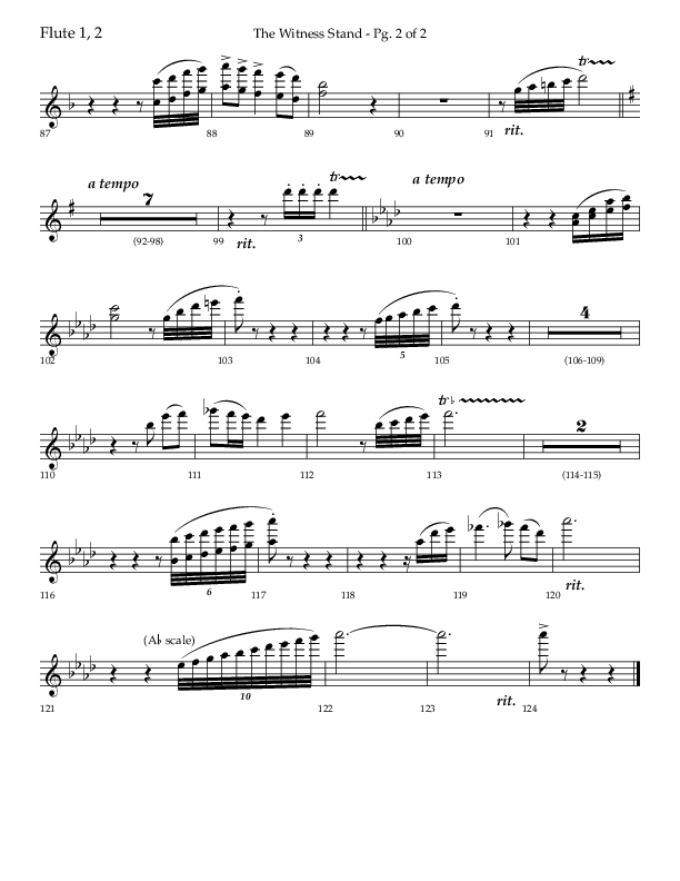 The Witness Stand (Choral Anthem SATB) Flute 1/2 (Lifeway Choral / Arr. Bradley Knight)