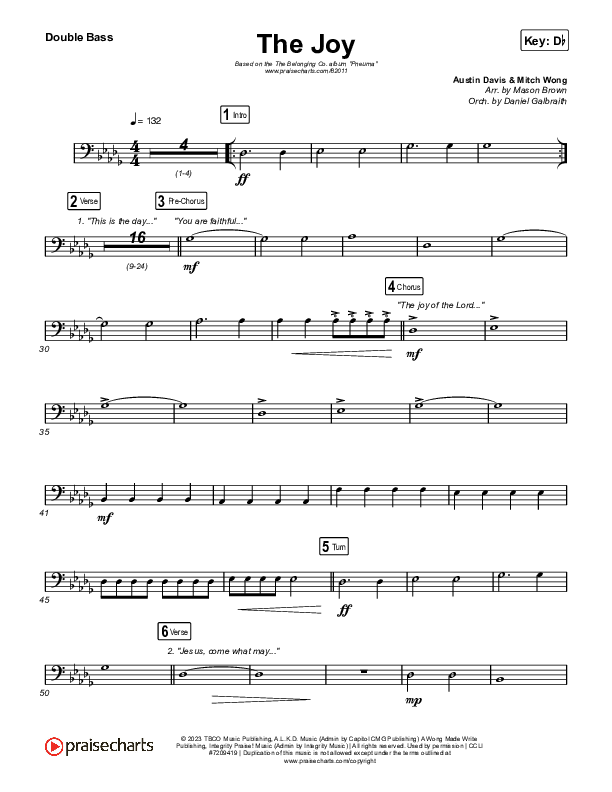 The Joy (Live) String Bass (The Belonging Co / Andrew Holt)