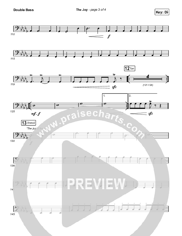 The Joy (Live) String Bass (The Belonging Co / Andrew Holt)