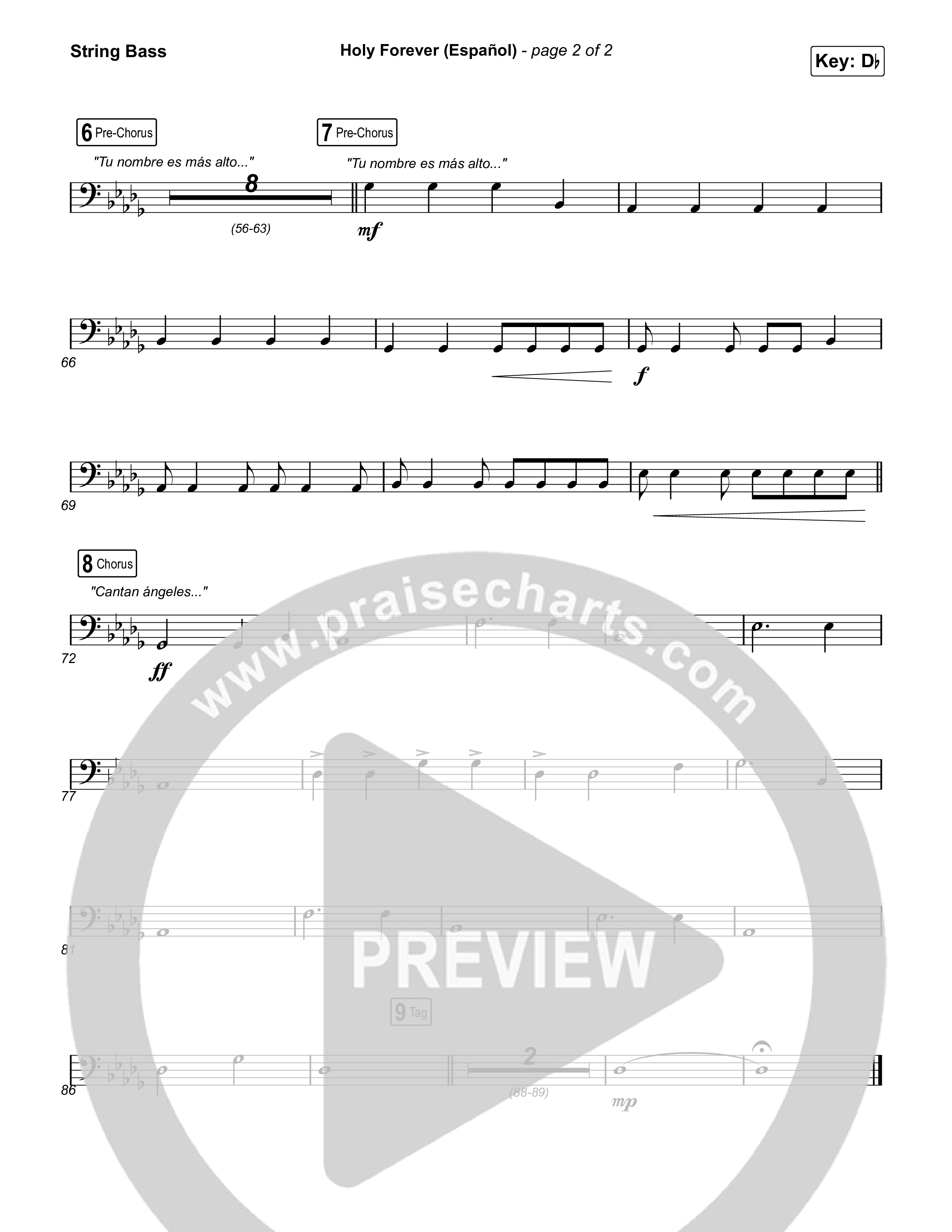 Holy Forever (Español) String Bass (Chris Tomlin / Miel San Marcos)