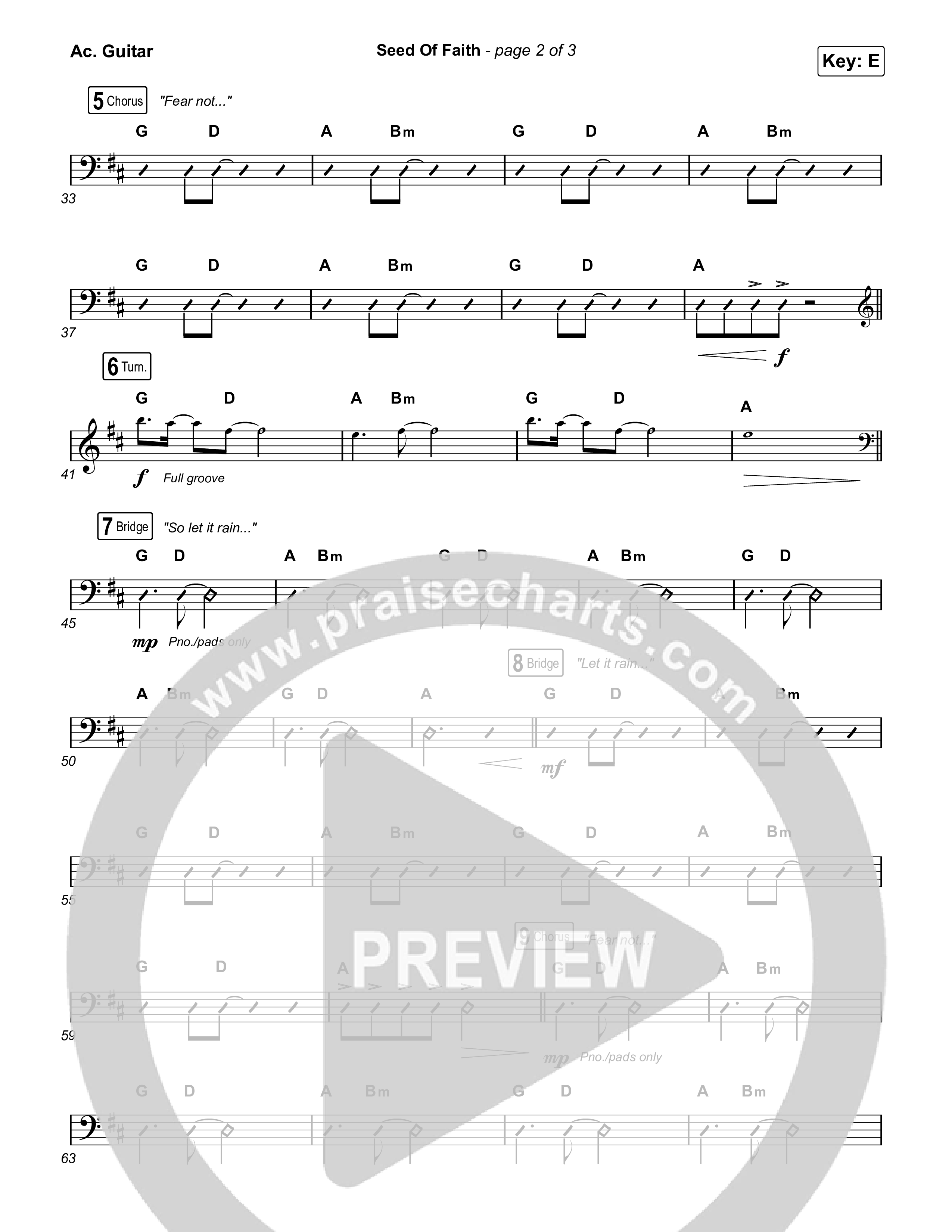 Seed Of Faith Acoustic Guitar (Charity Gayle)