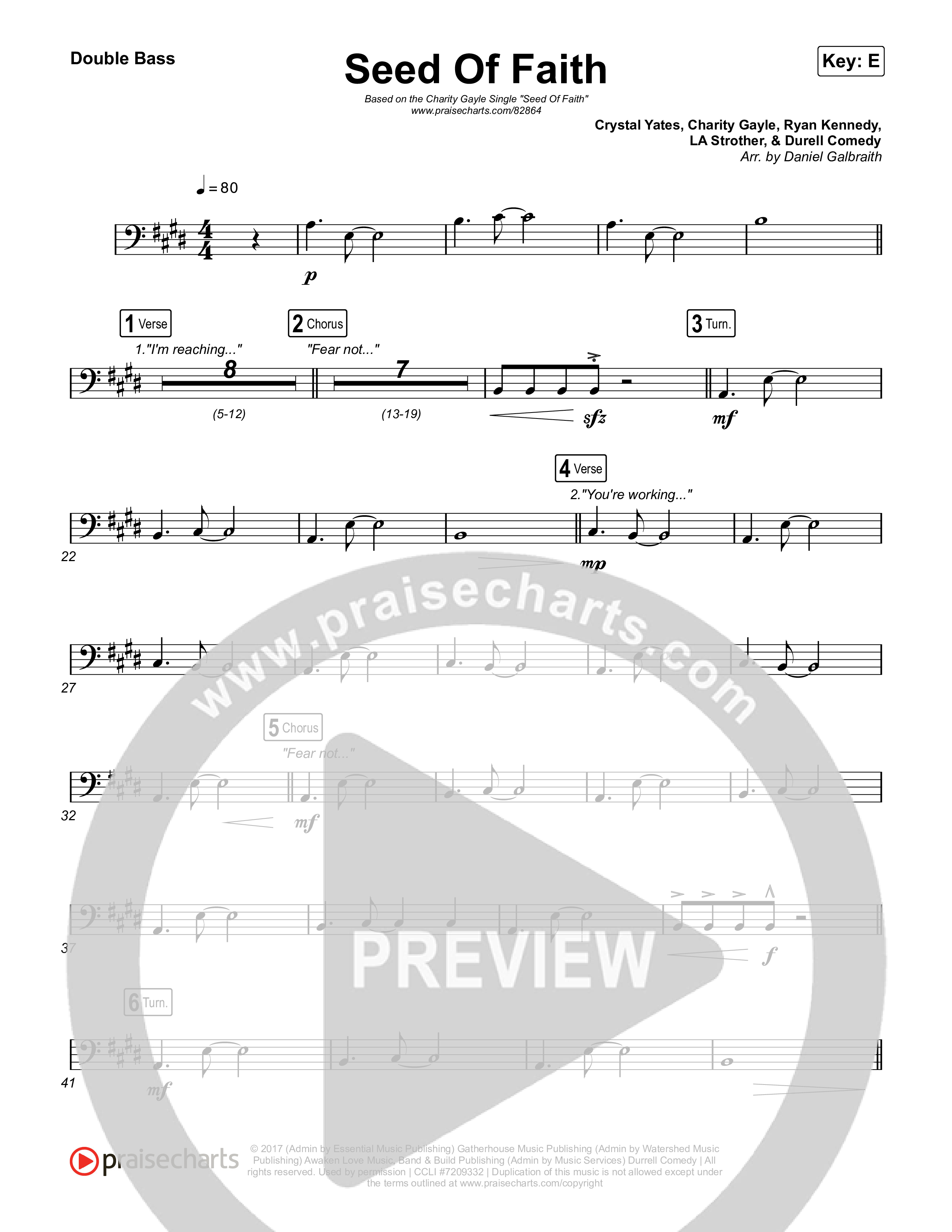 Seed Of Faith String Bass (Charity Gayle)