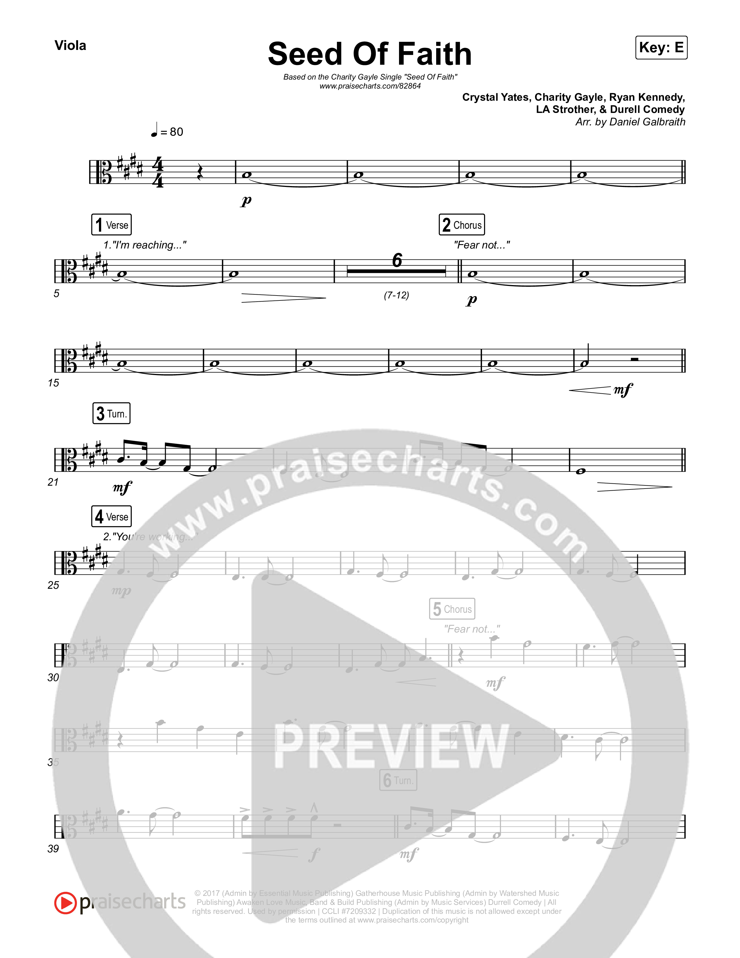 Seed Of Faith Viola (Charity Gayle)