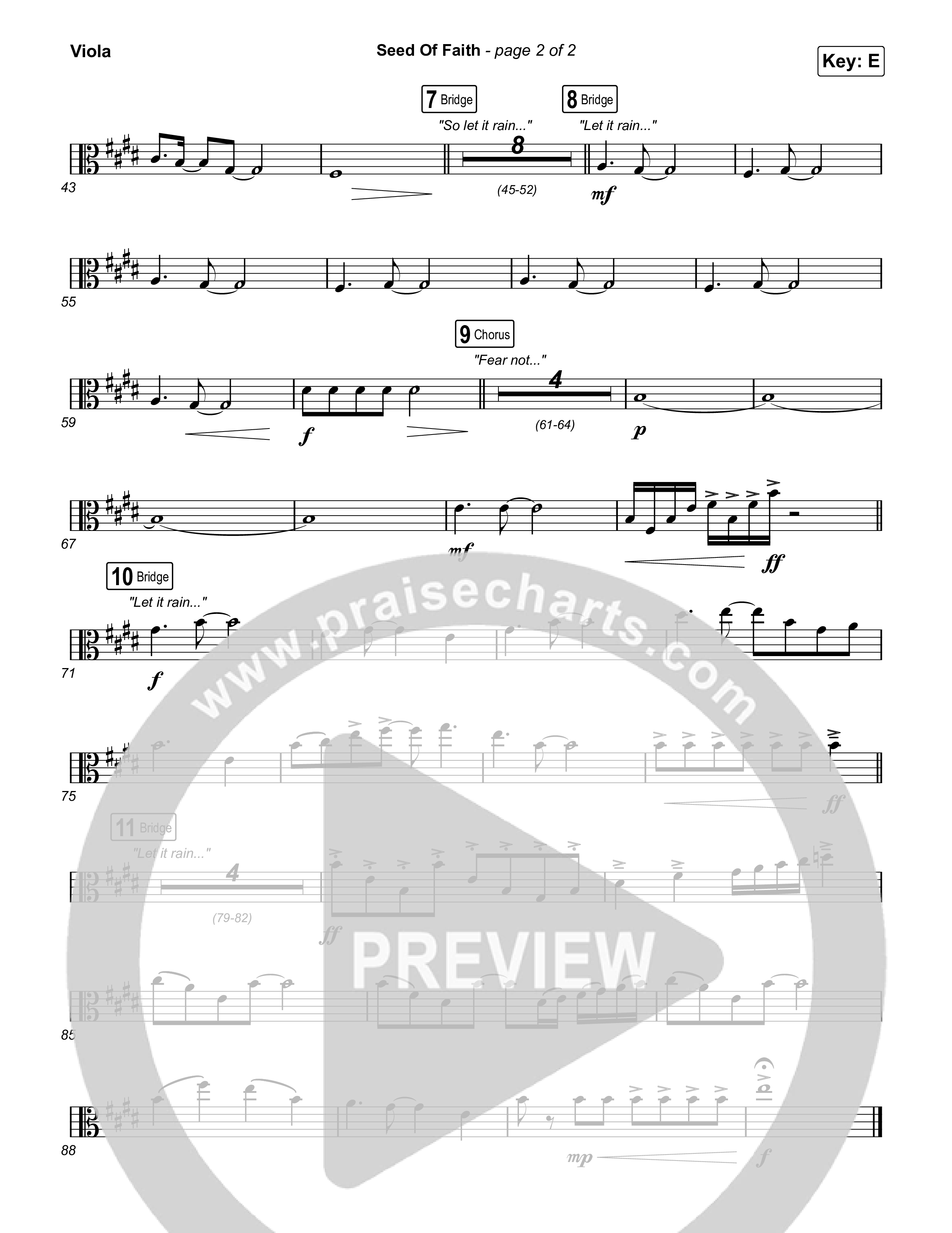 Seed Of Faith Viola (Charity Gayle)