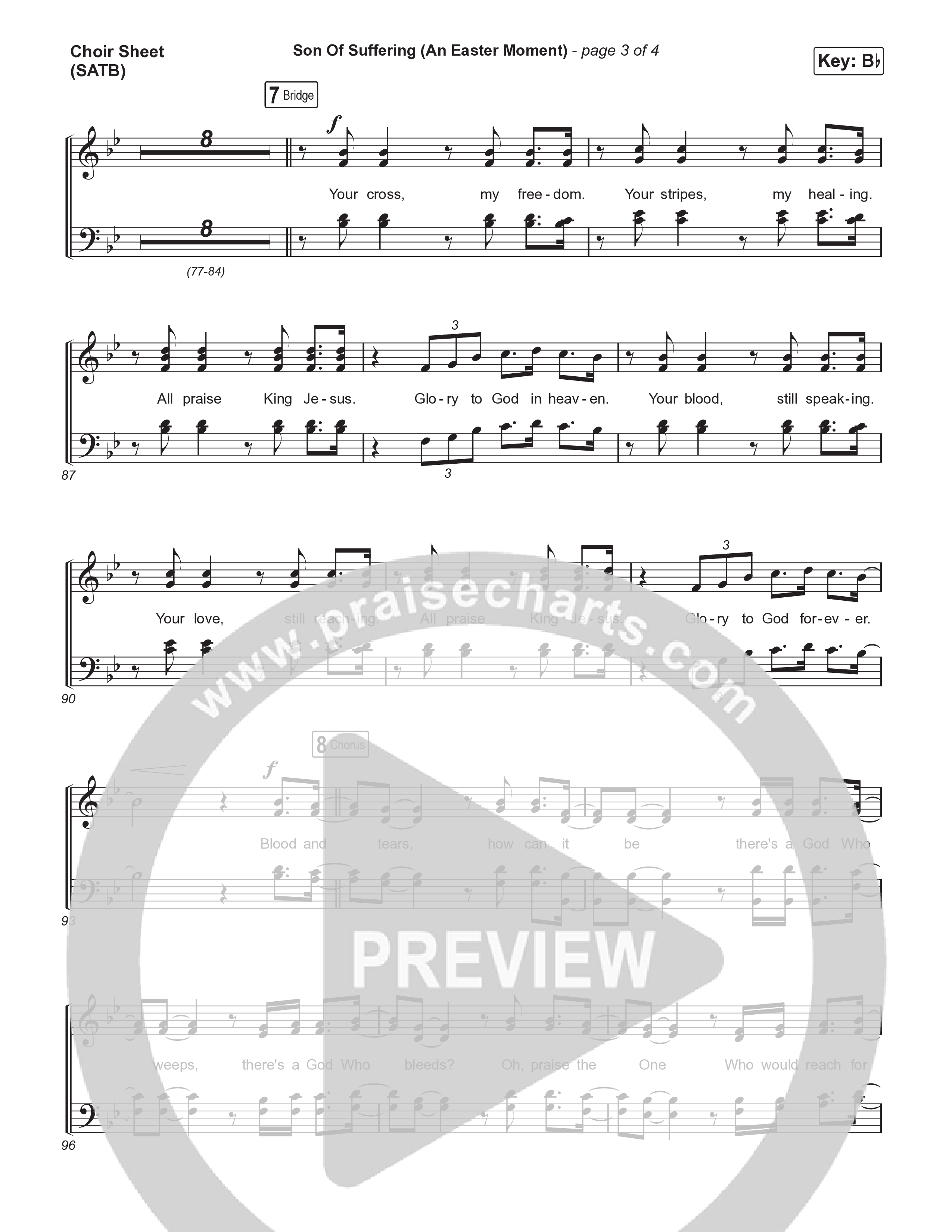 Son Of God Son Of Man (8 Song Choral Collection) Choir Sheets (SATB) (Travis Cottrell / Arr. Mason Brown)