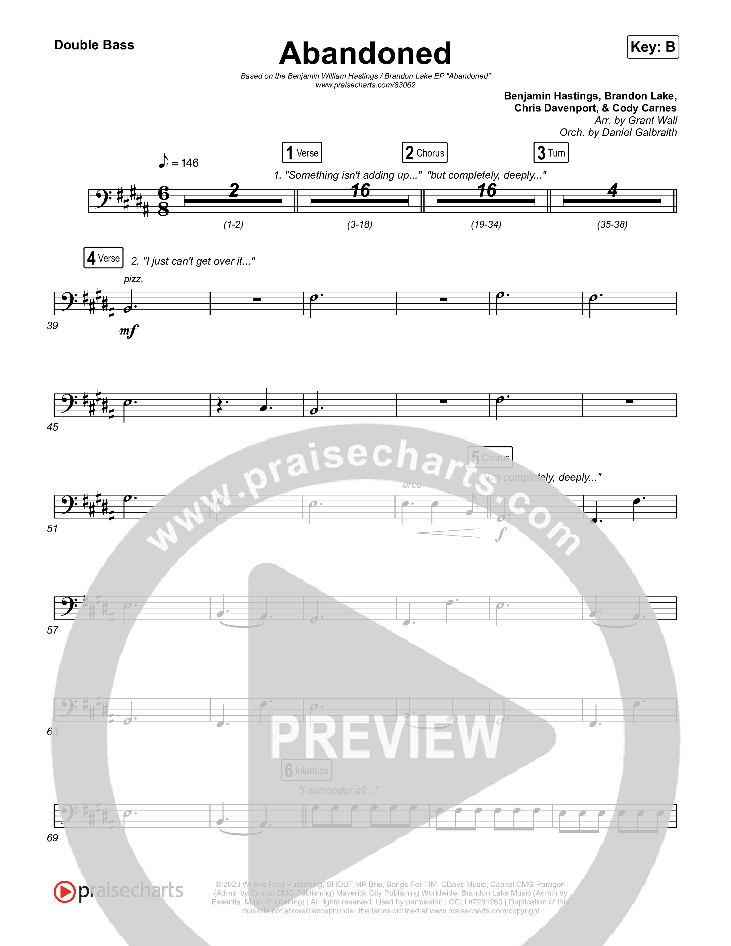 Abandoned String Bass (Benjamin William Hastings)