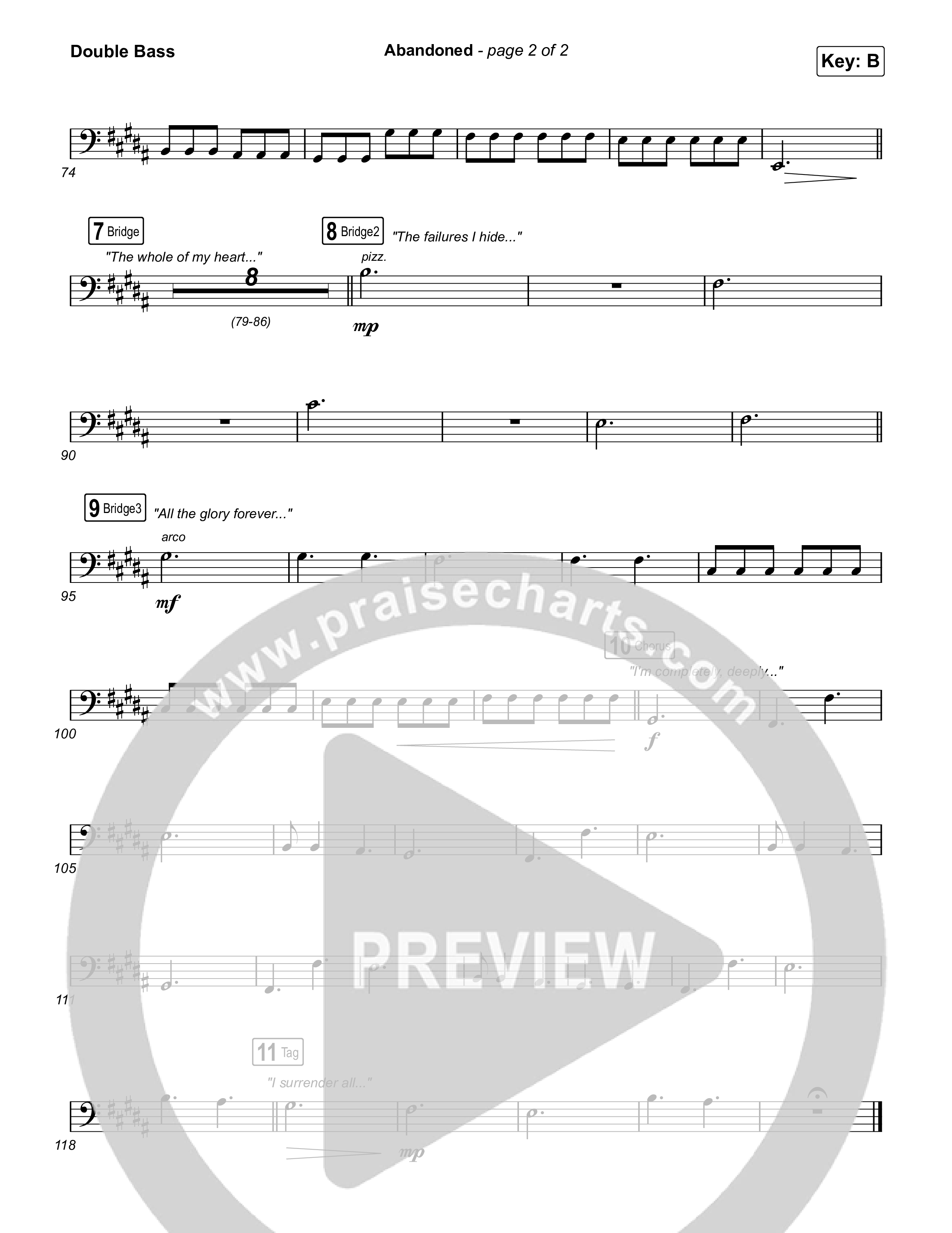 Abandoned String Bass (Benjamin William Hastings)