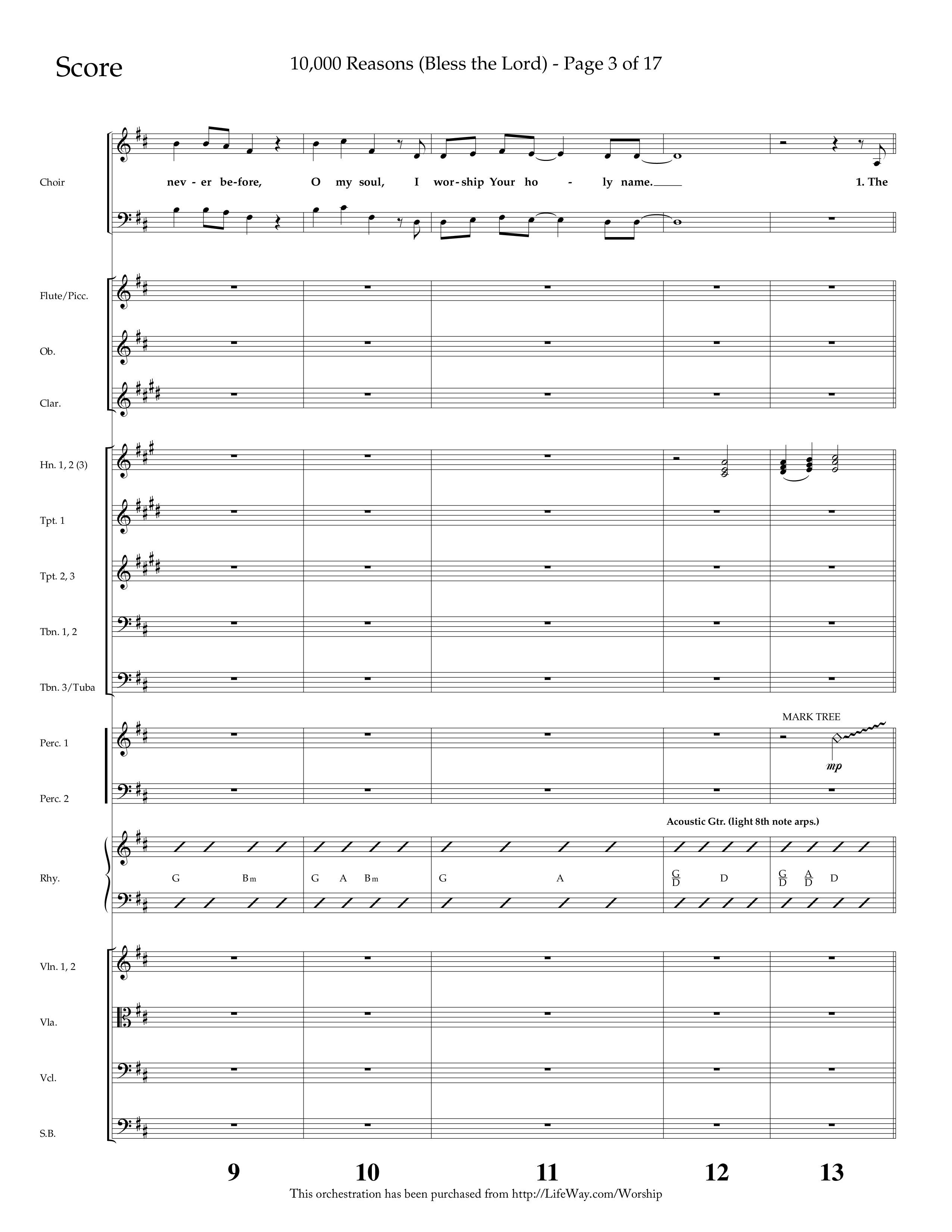10,000 Reasons (Bless The Lord) (Choral Anthem SATB) Orchestration (Lifeway Choral / Arr. Dave Williamson)