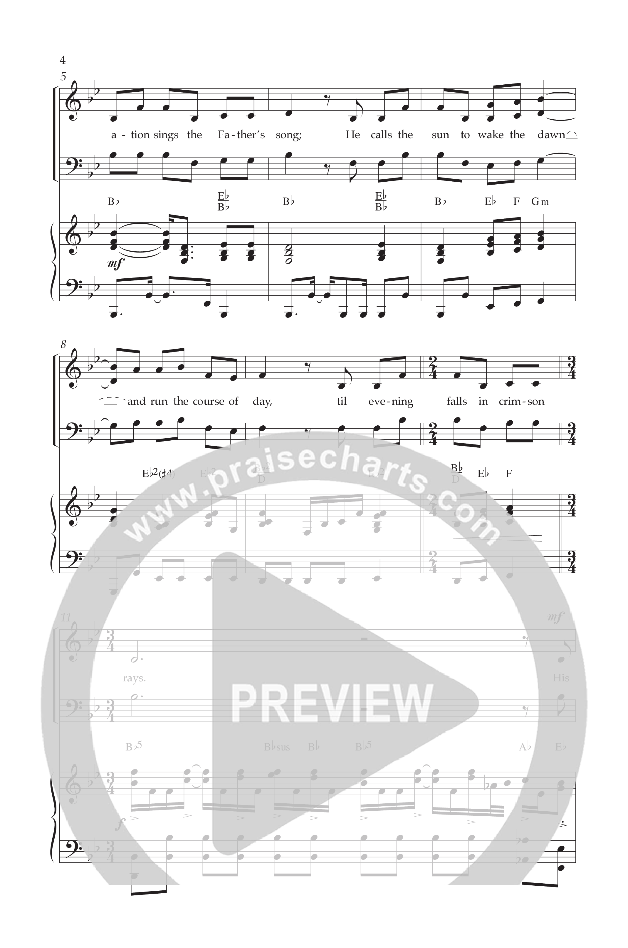 Creation Sings (Choral Anthem SATB) Anthem (SATB/Piano) (Lifeway Choral / Arr. David Hamilton)
