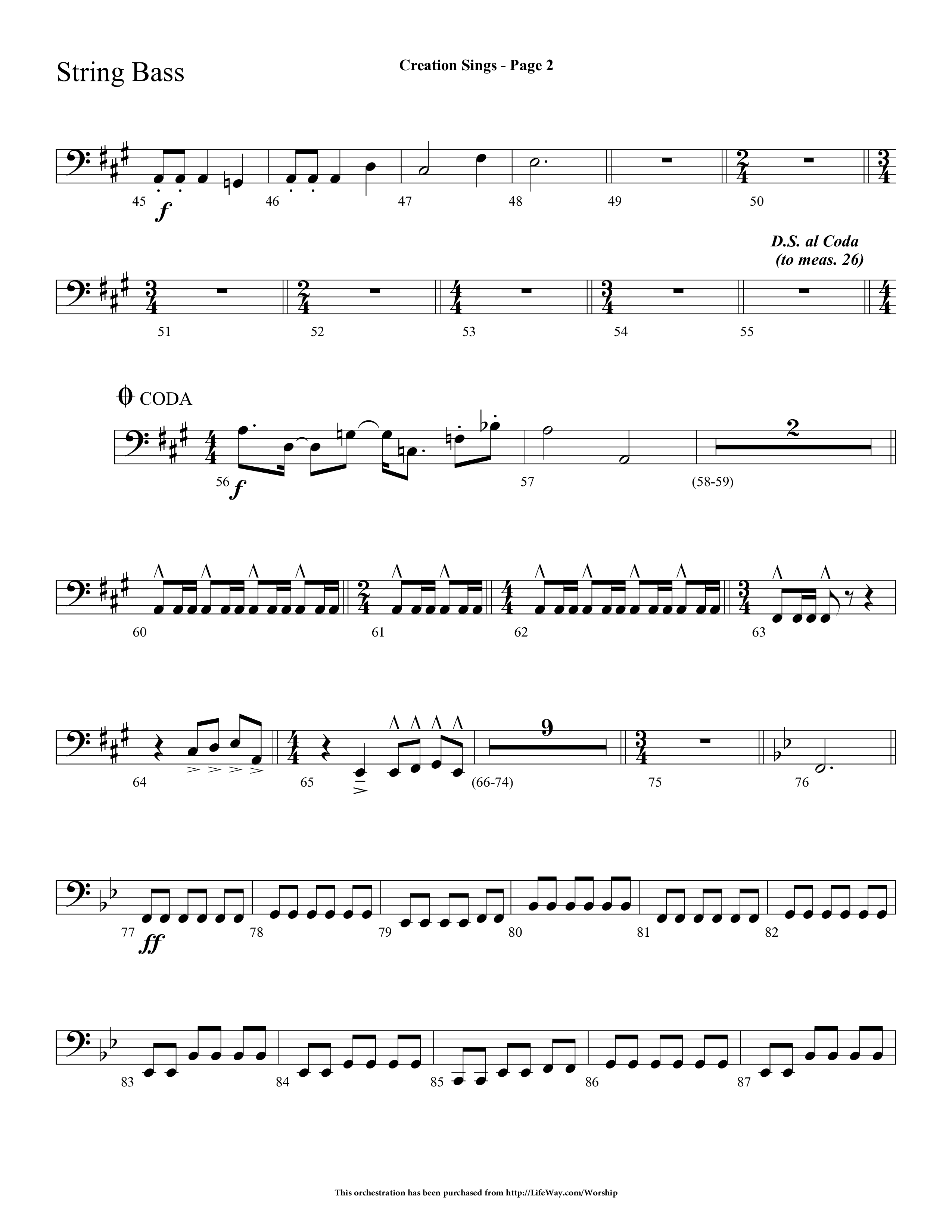 Creation Sings (Choral Anthem SATB) String Bass (Lifeway Choral / Arr. Dave Williamson)