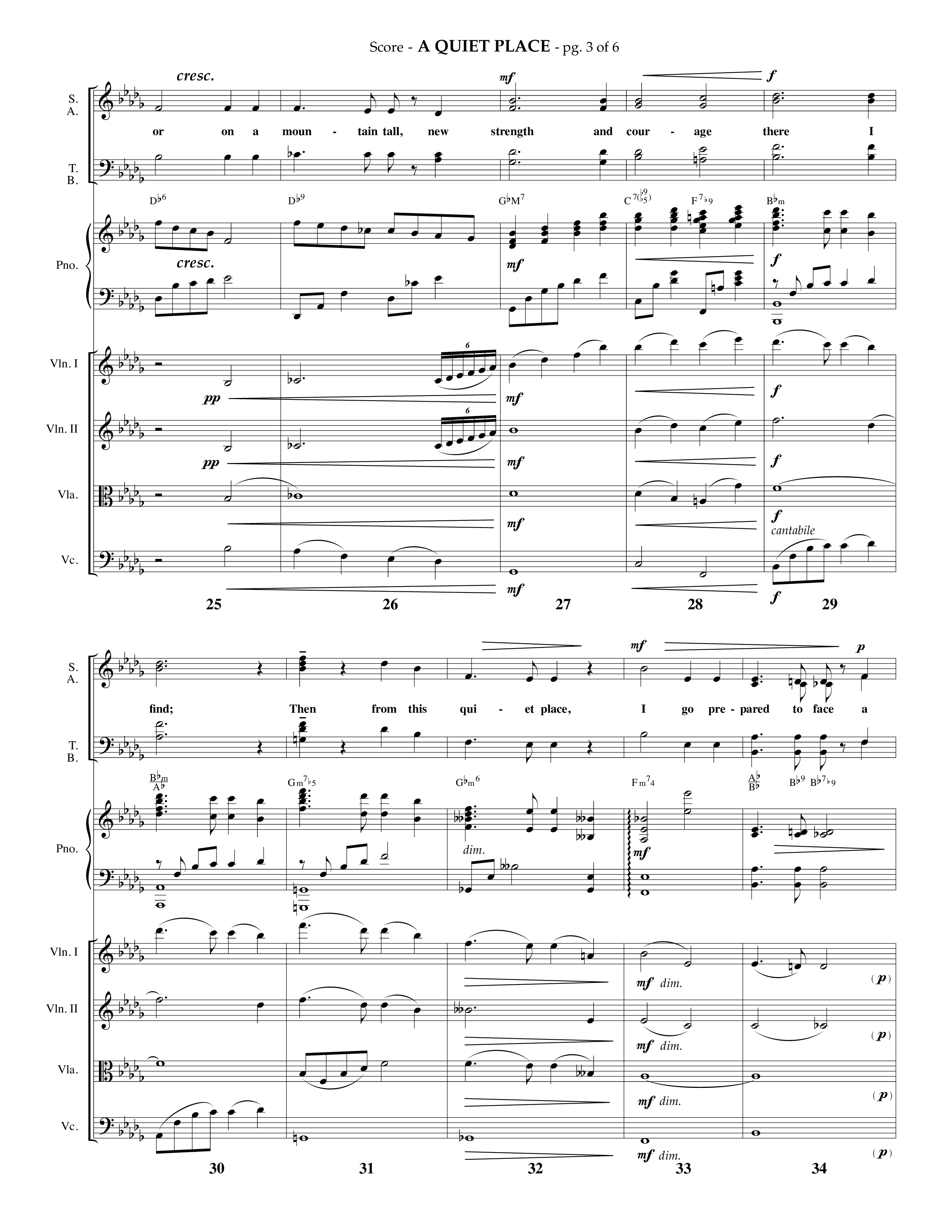 A Quiet Place (Choral Anthem SATB) Orchestration (Lifeway Choral / Arr. Phillip Keveren)