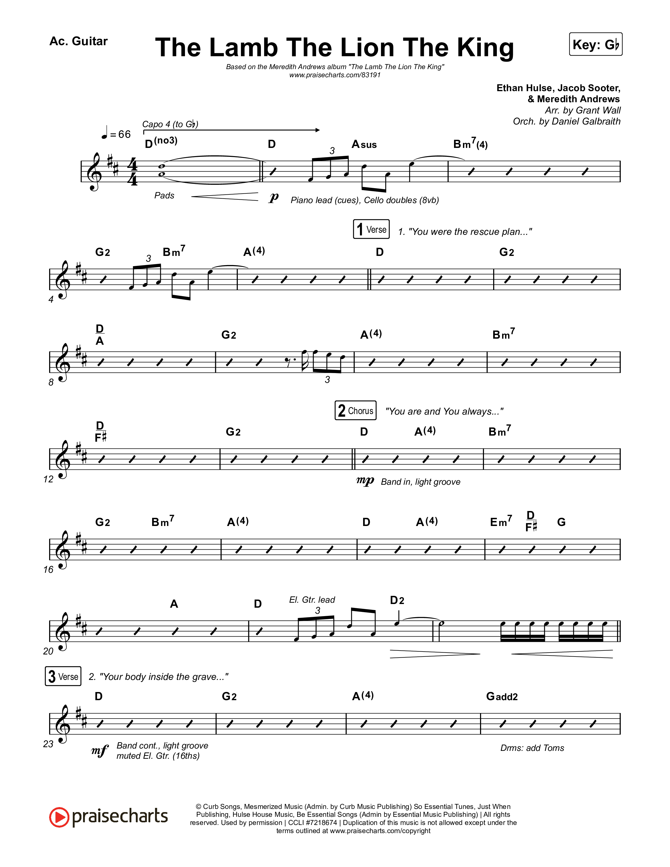 The Lamb The Lion The King Acoustic Guitar (Meredith Andrews)