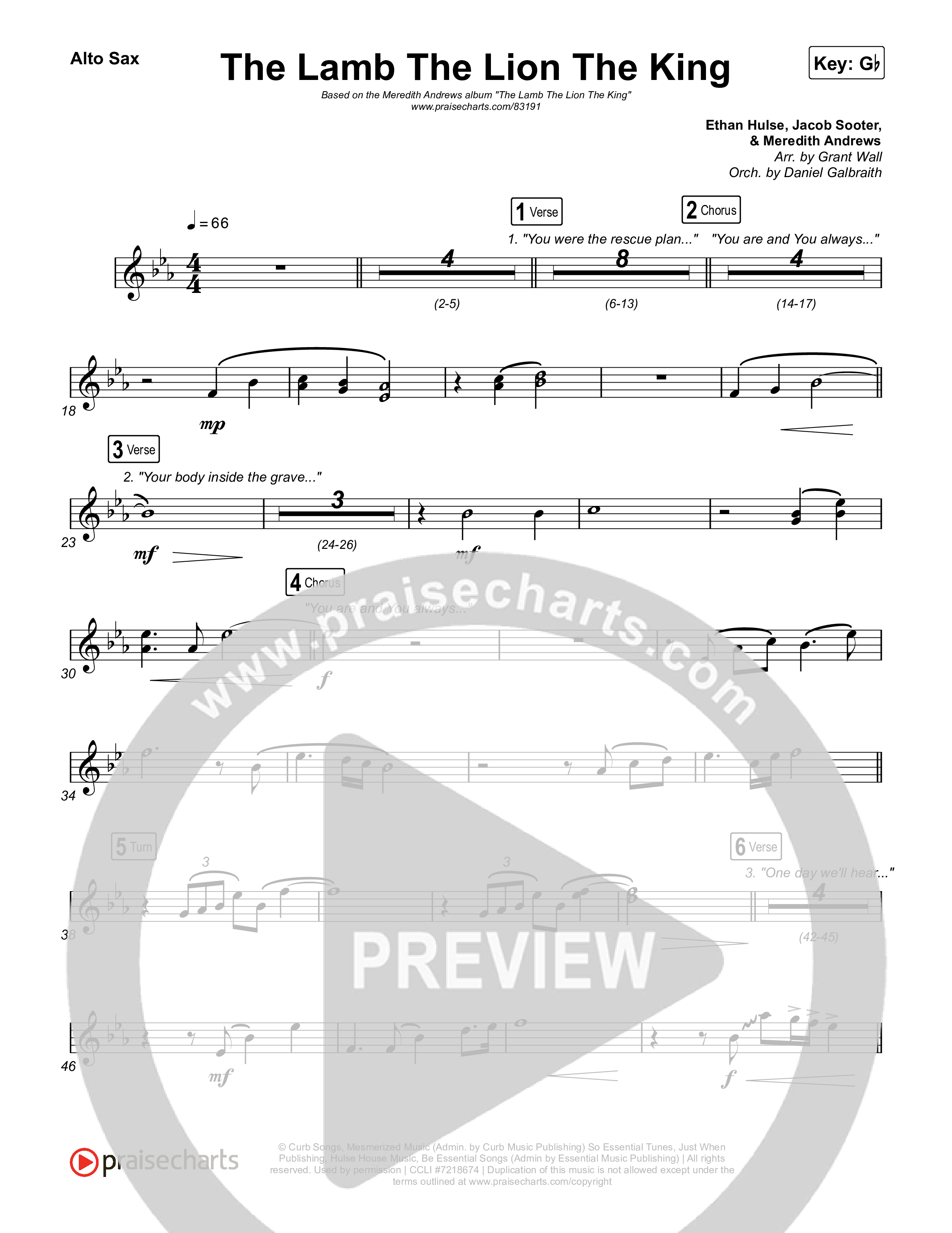 The Lamb The Lion The King Sax Pack (Meredith Andrews)