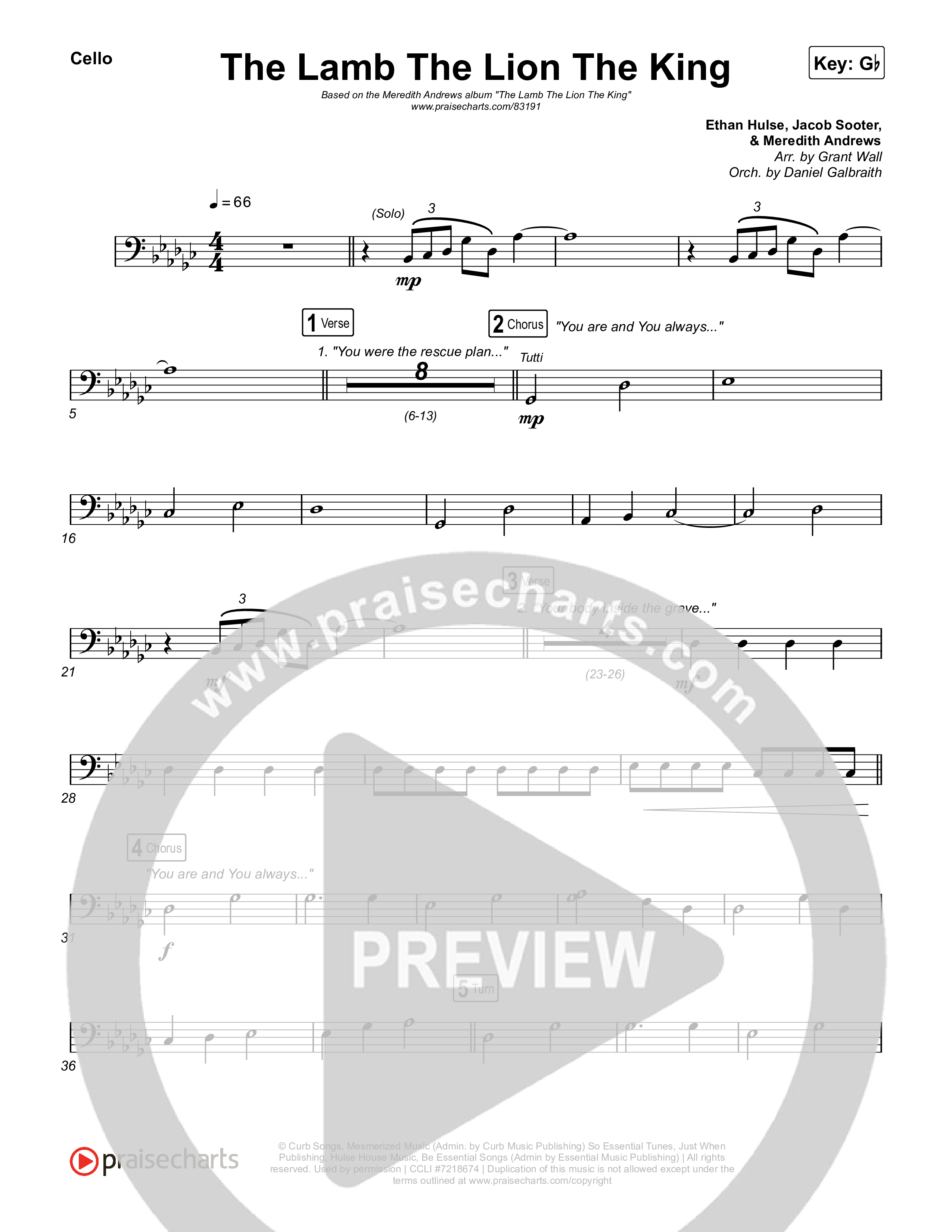 The Lamb The Lion The King Cello (Meredith Andrews)