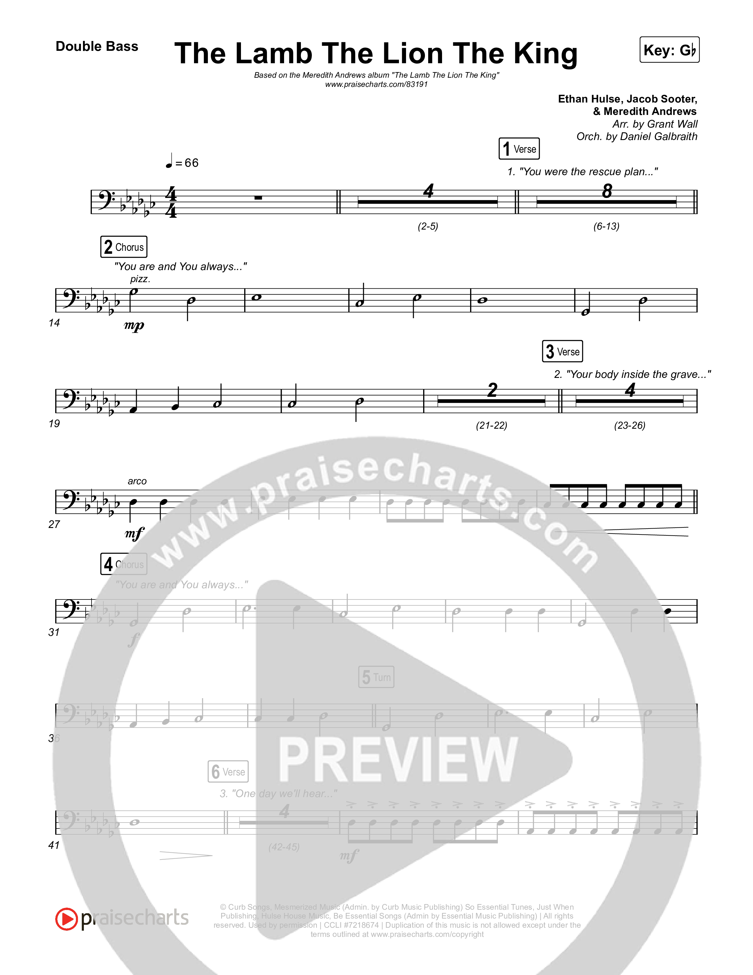 The Lamb The Lion The King Double Bass (Meredith Andrews)