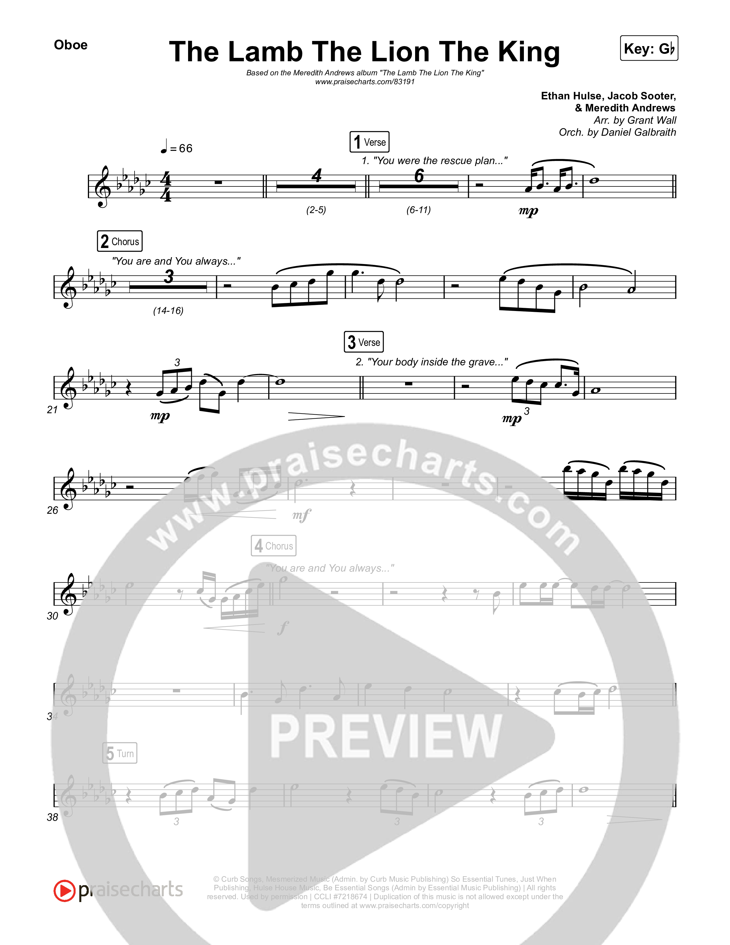 The Lamb The Lion The King Wind Pack (Meredith Andrews)