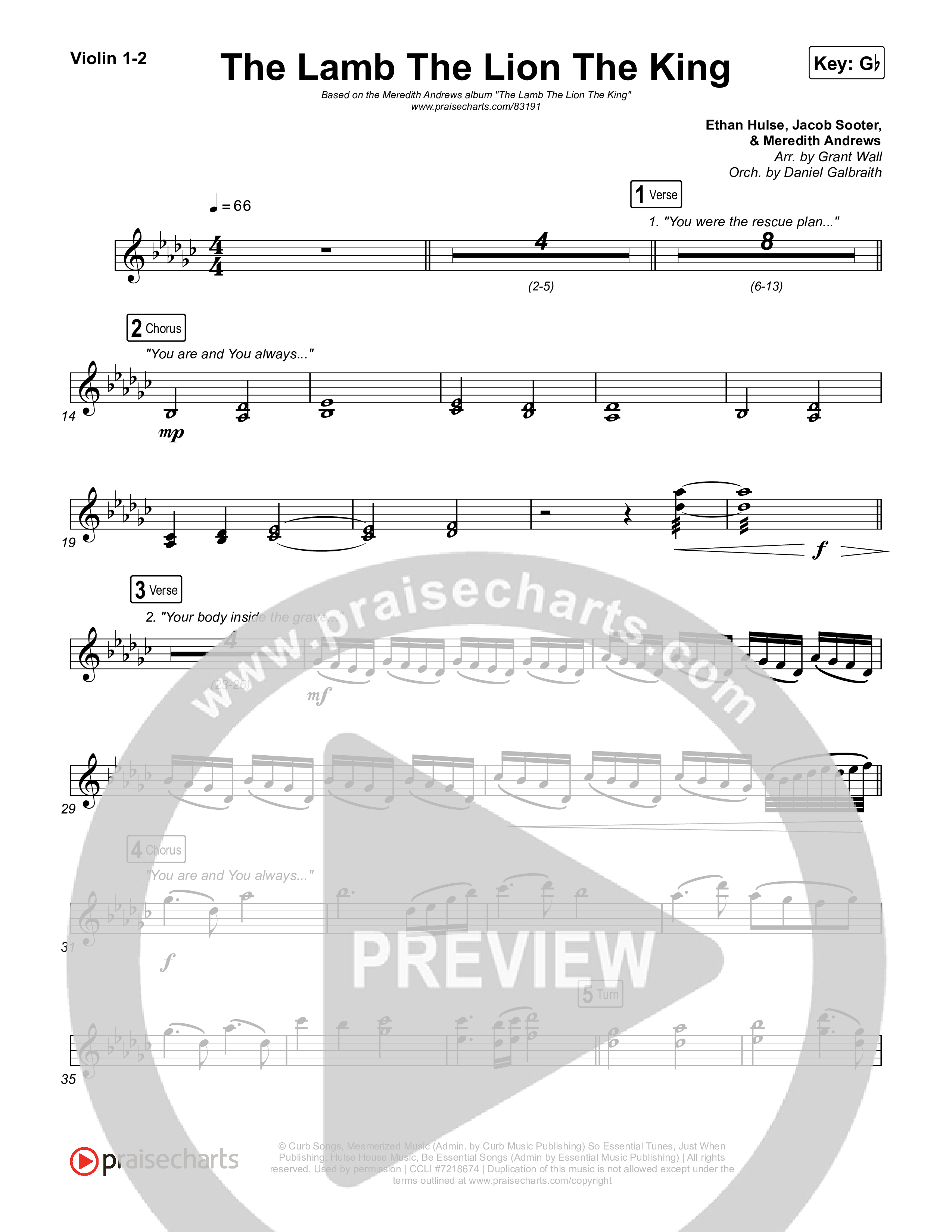 The Lamb The Lion The King String Pack (Meredith Andrews)