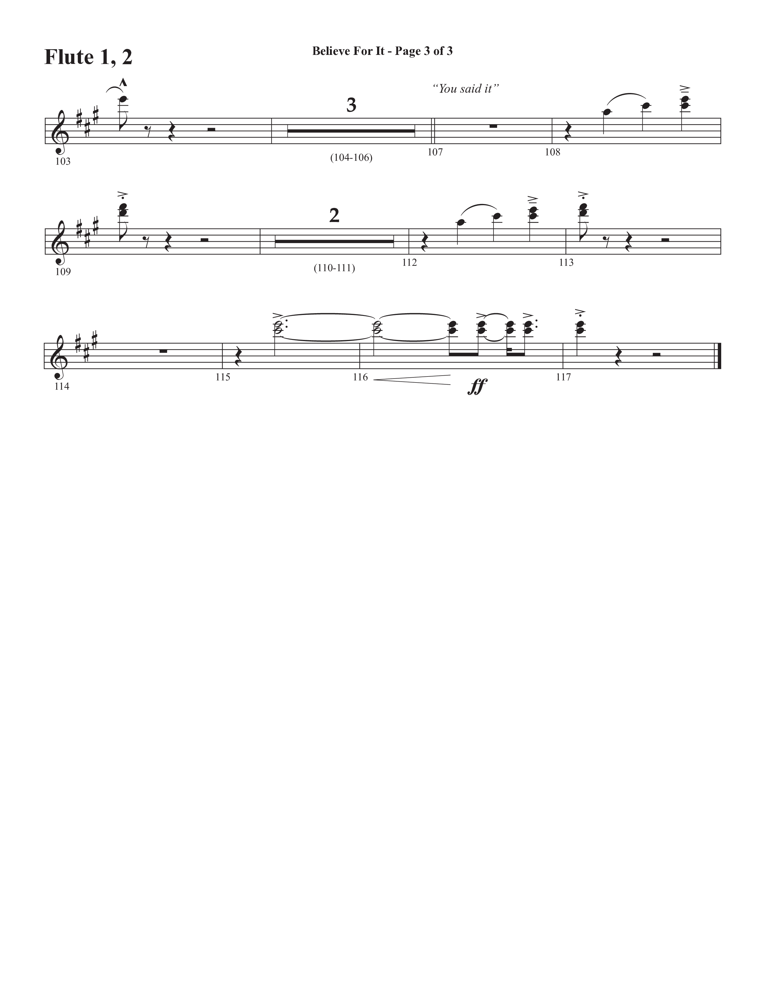 Believe For It (Choral Anthem SATB) Flute 1/2 (Semsen Music / Arr. Phil Nitz)