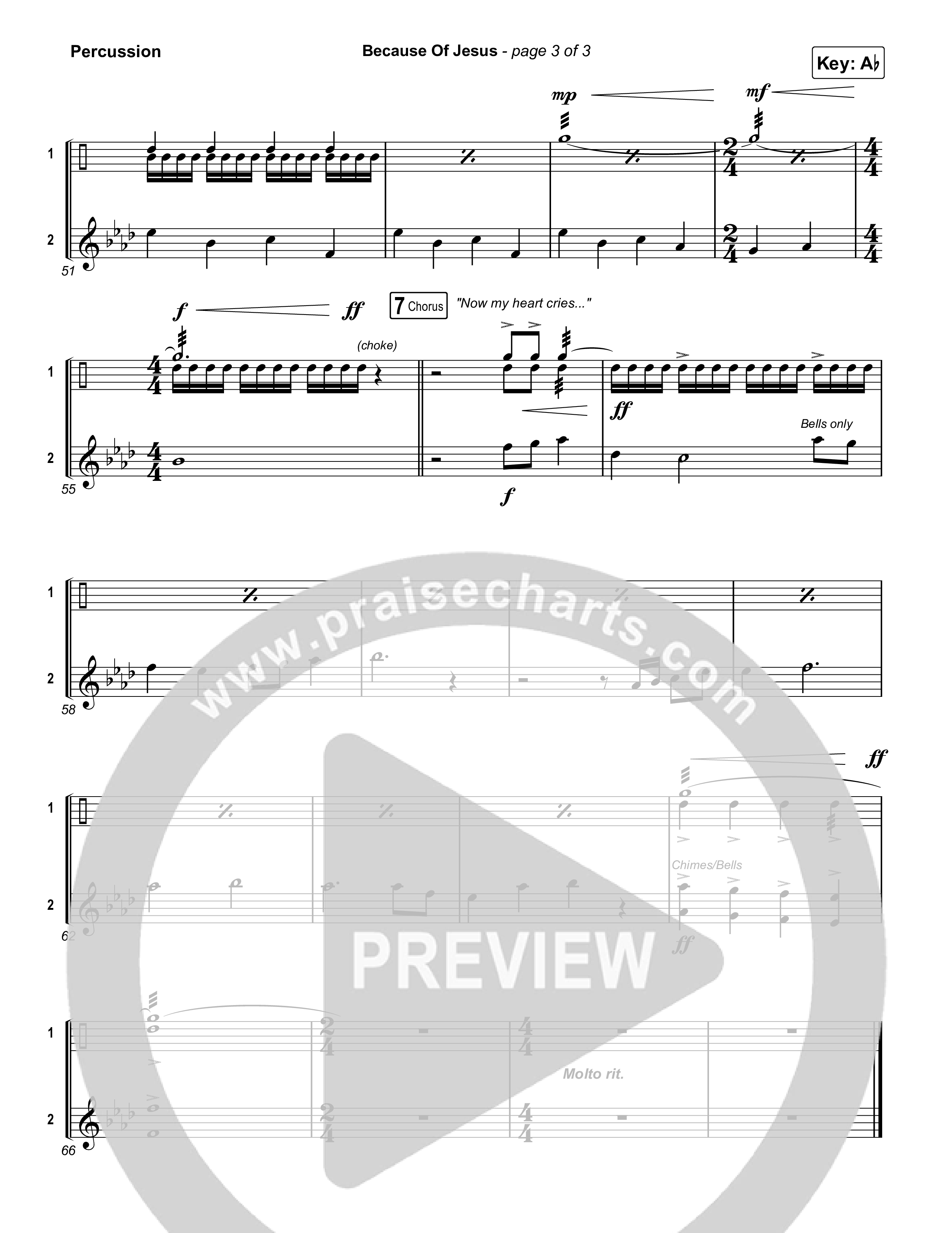 Because Of Jesus (Live) Percussion (Charity Gayle)