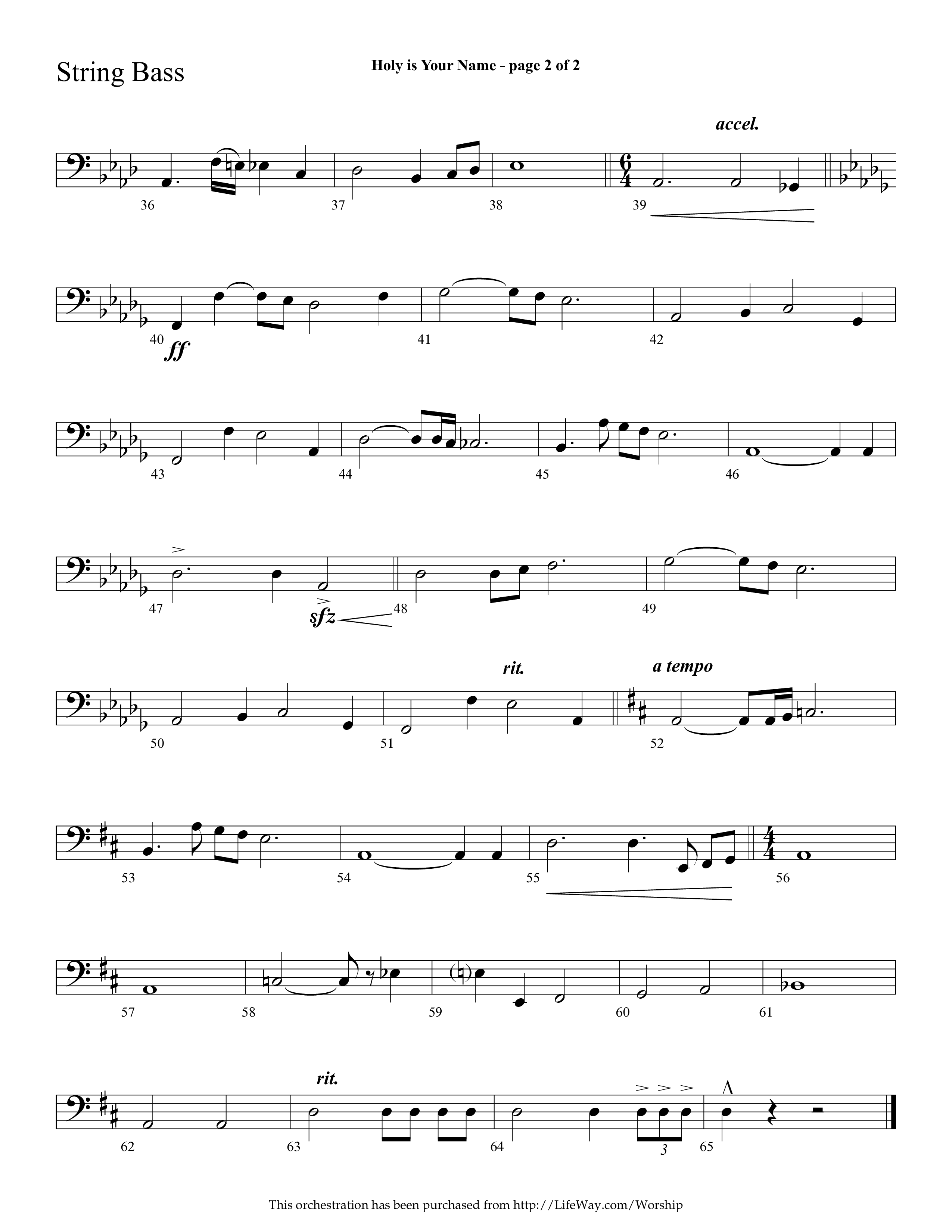 Holy Is Your Name (with Precious Name, Worthy The Lamb) (Choral Anthem SATB) String Bass (Lifeway Choral / Arr. Cliff Duren)