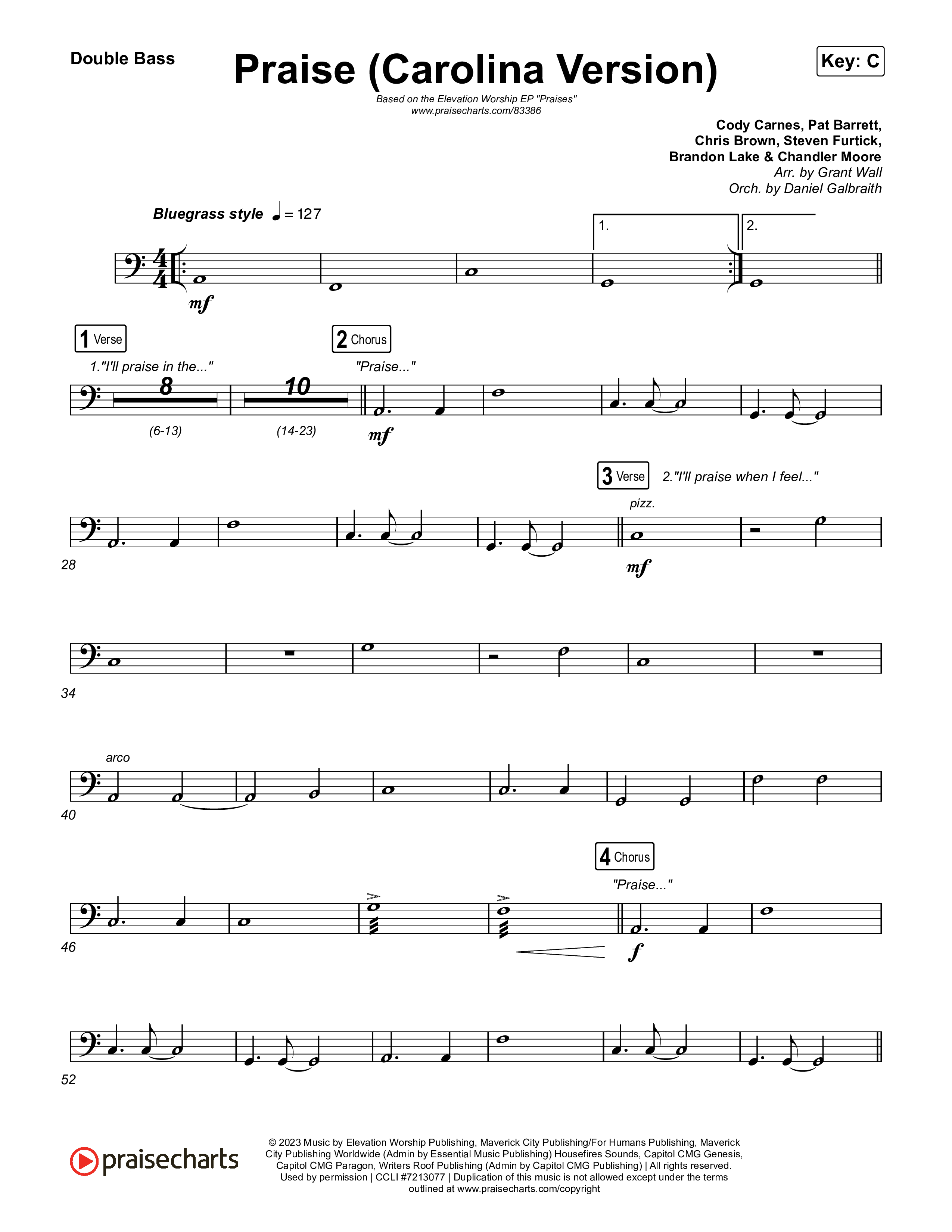 Praise (Carolina Version) String Bass (Elevation Worship)