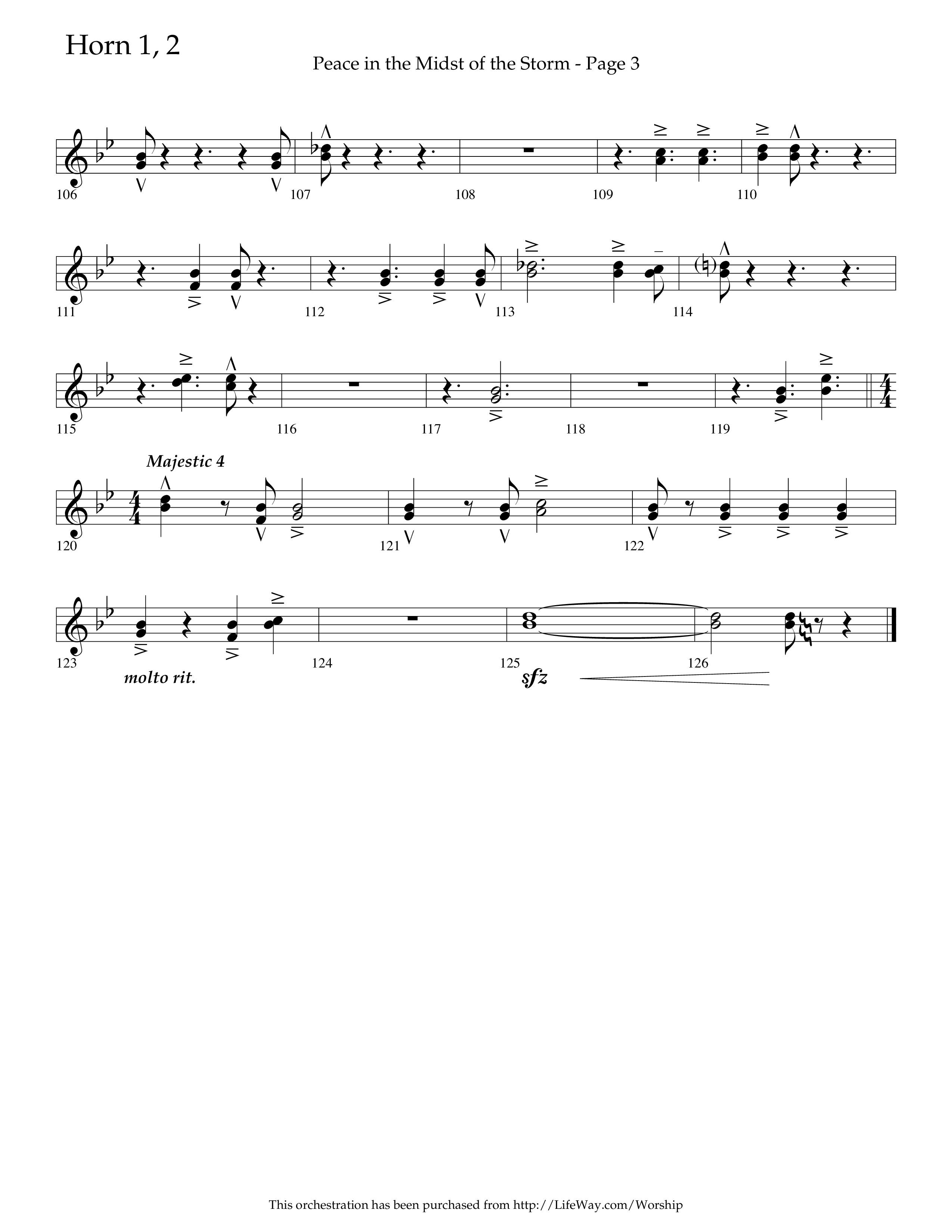 Peace In The Midst Of The Storm (Choral Anthem SATB) French Horn 1/2 (Lifeway Choral / Arr. David T. Clydesdale)