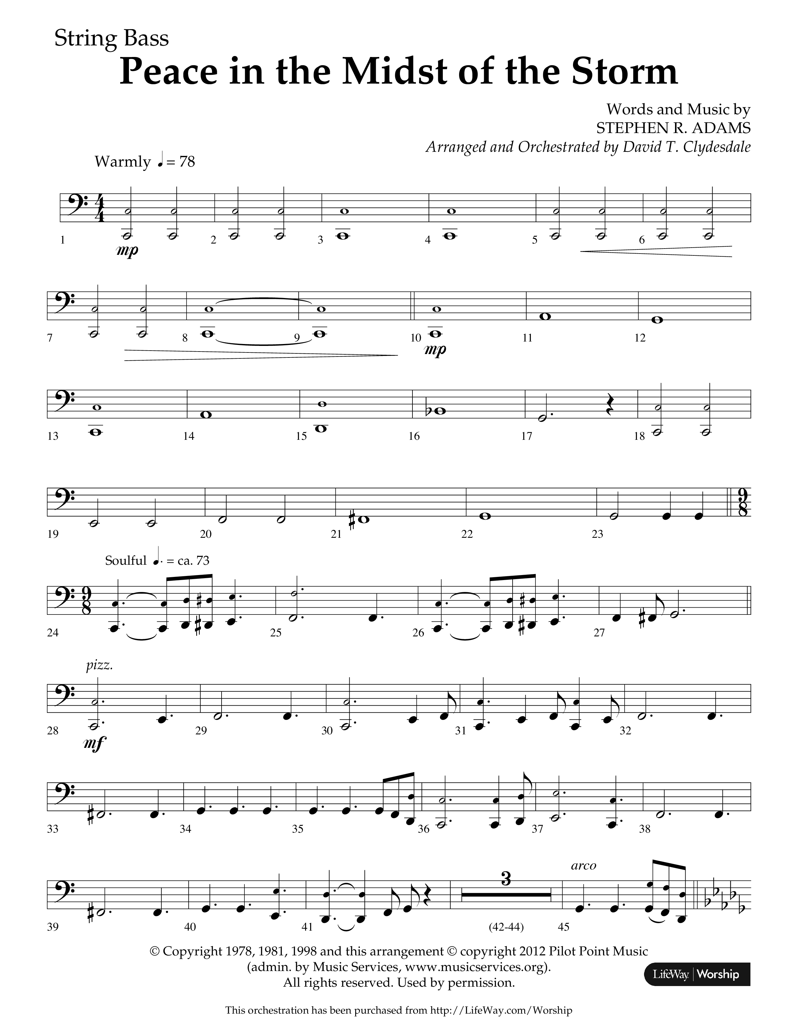 Peace In The Midst Of The Storm (Choral Anthem SATB) String Bass (Lifeway Choral / Arr. David T. Clydesdale)