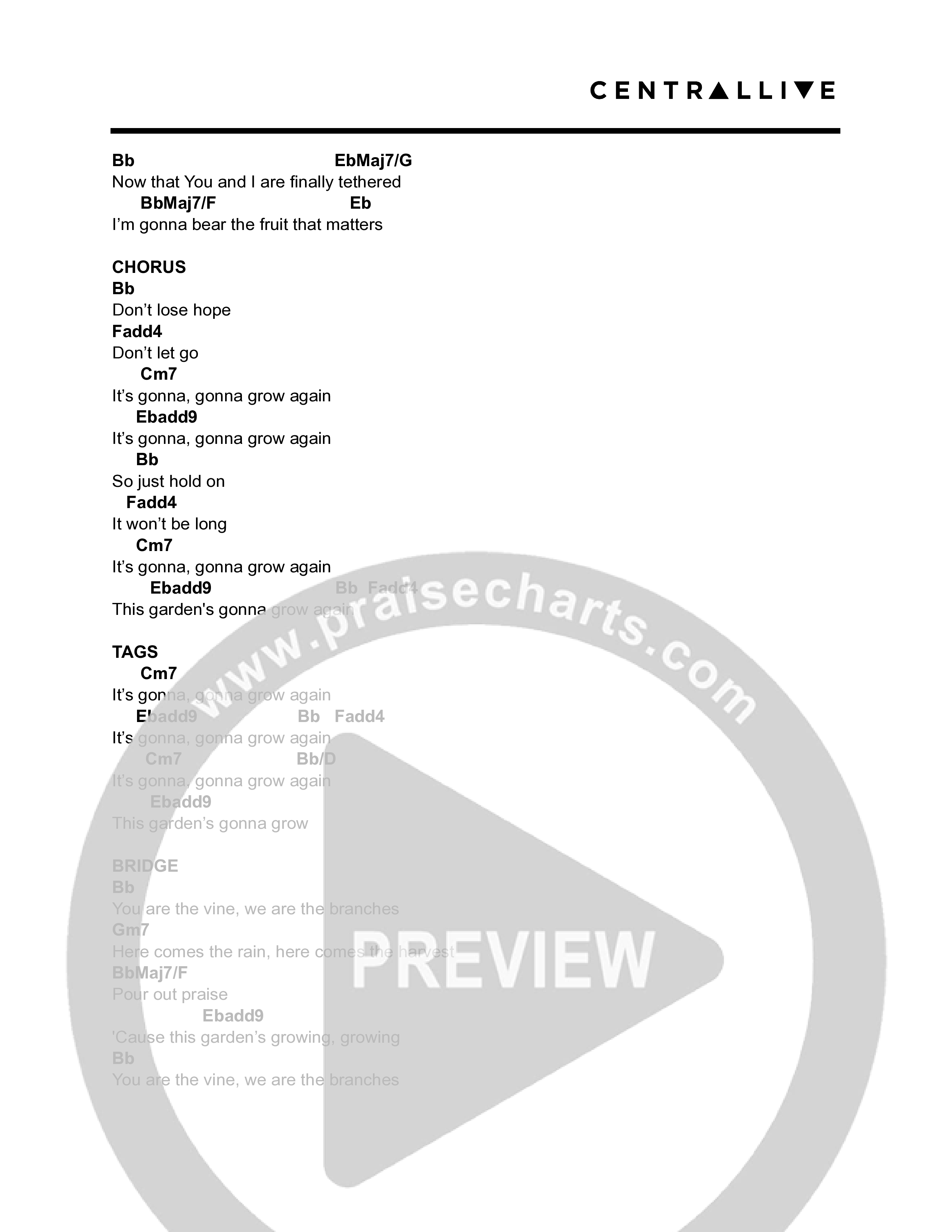 The Garden (Acoustic) Chord Chart (Central Live)