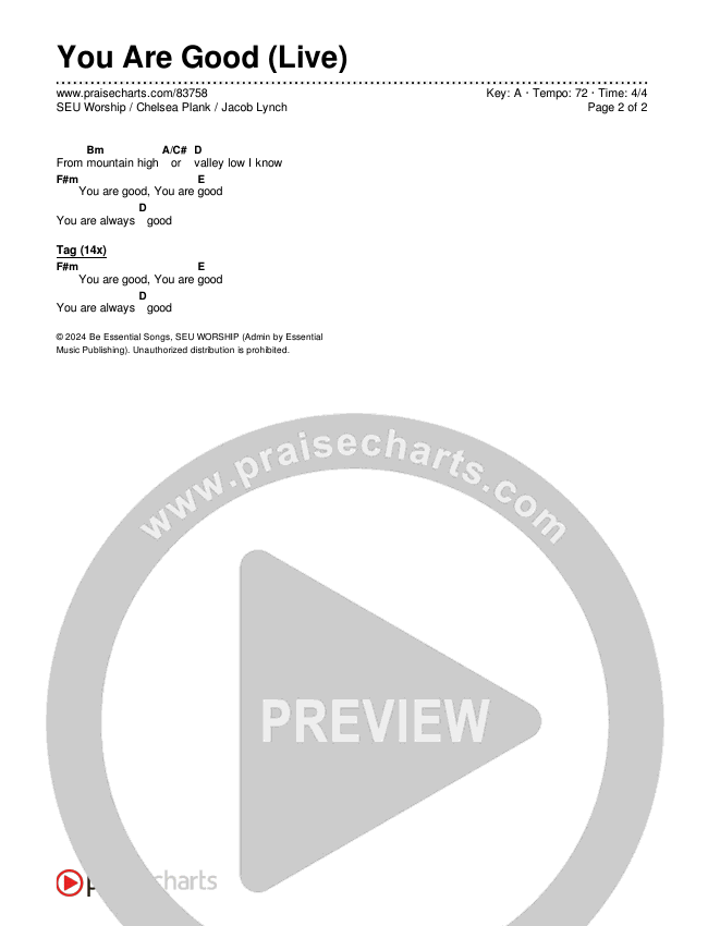 You Are Good (Live) Chords & Lyrics (SEU Worship / Chelsea Plank / Jacob Lynch)