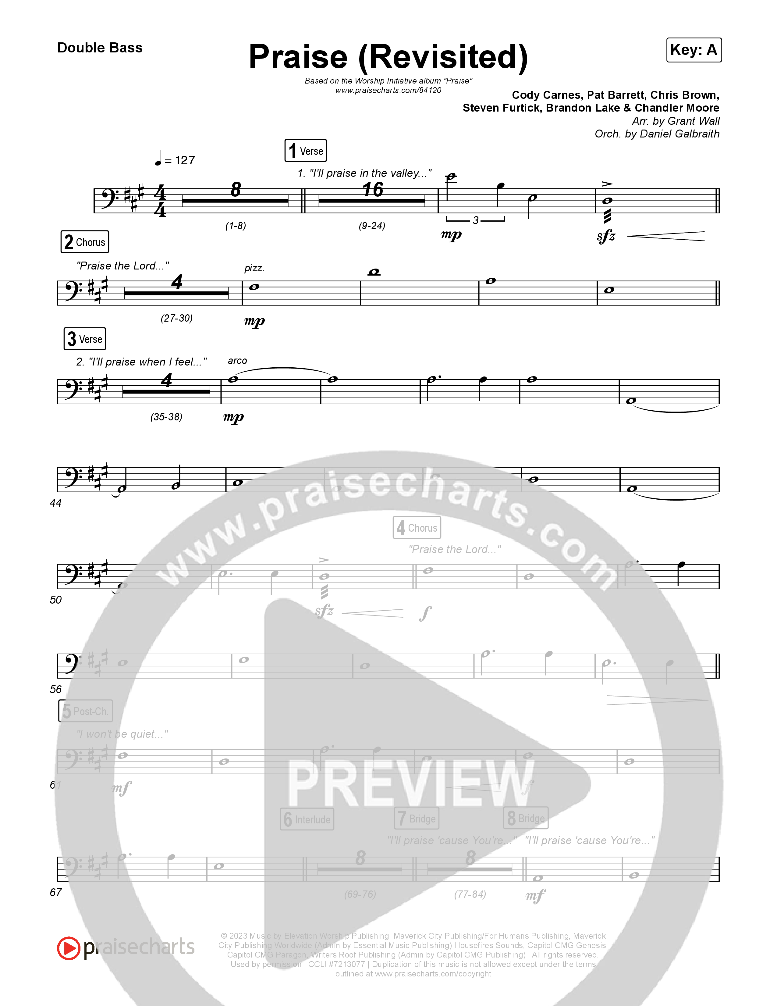 Praise (Revisited) String Bass (The Worship Initiative)