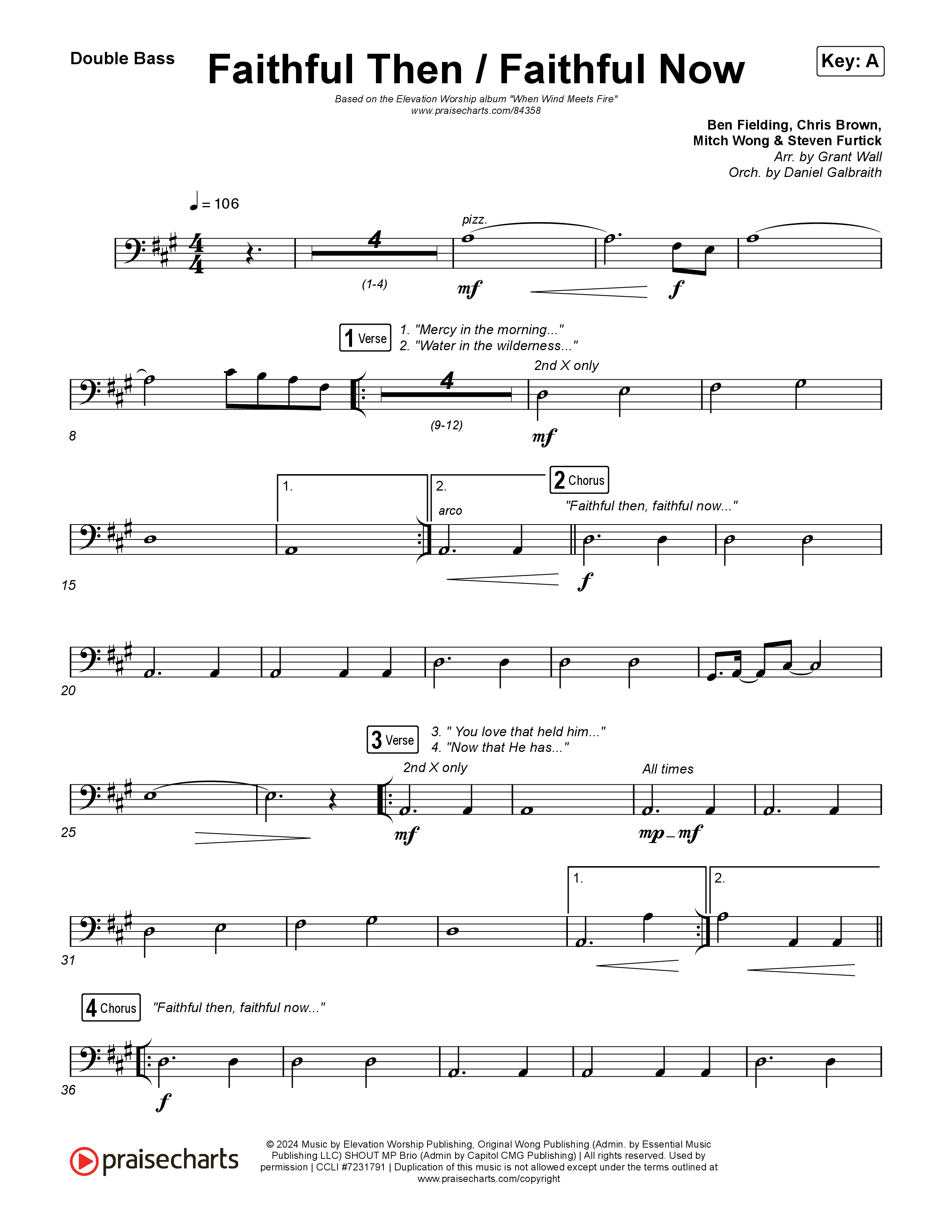 Faithful Then / Faithful Now String Bass (Elevation Worship / Chris Brown)