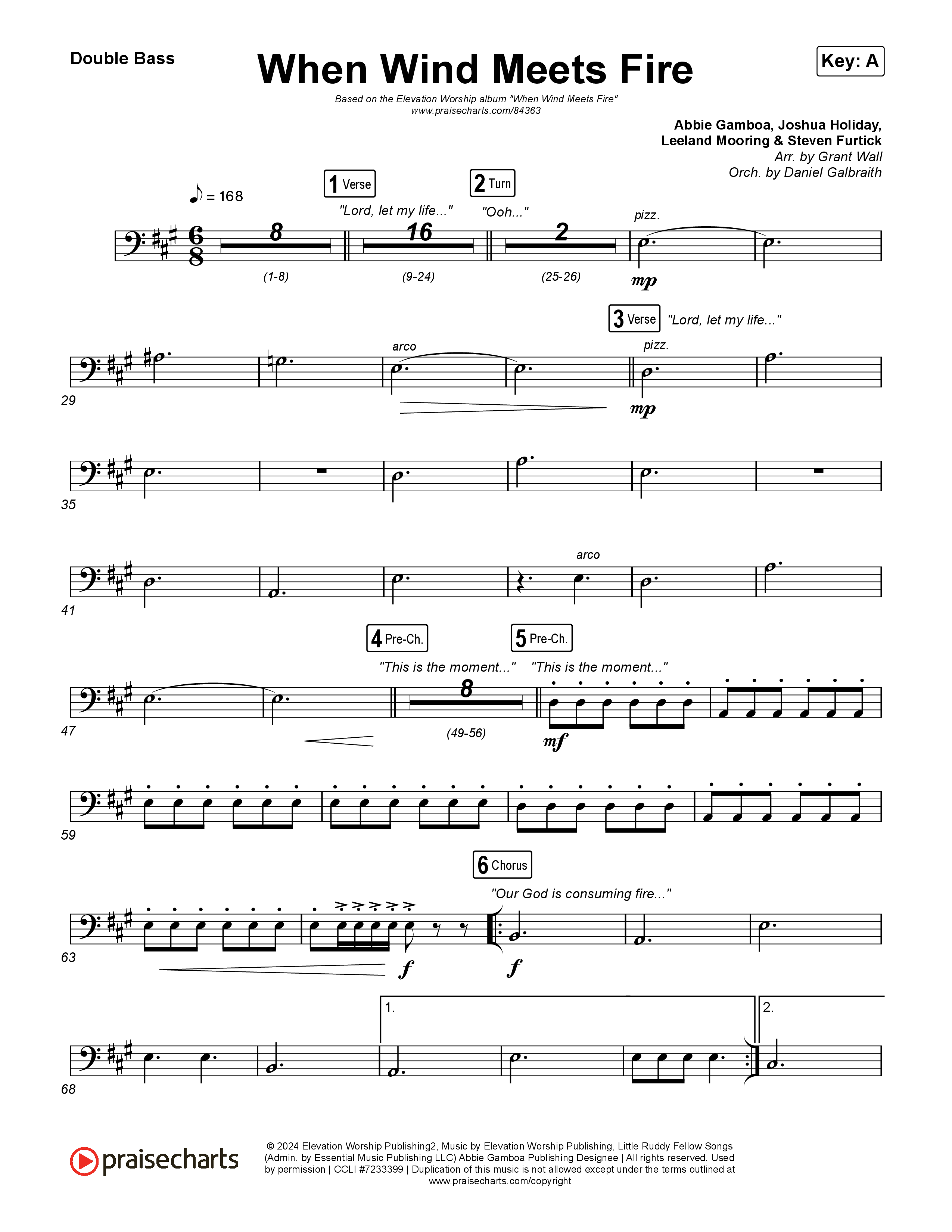 When Wind Meets Fire String Bass (Elevation Worship / Chris Brown / Tiffany Hudson)