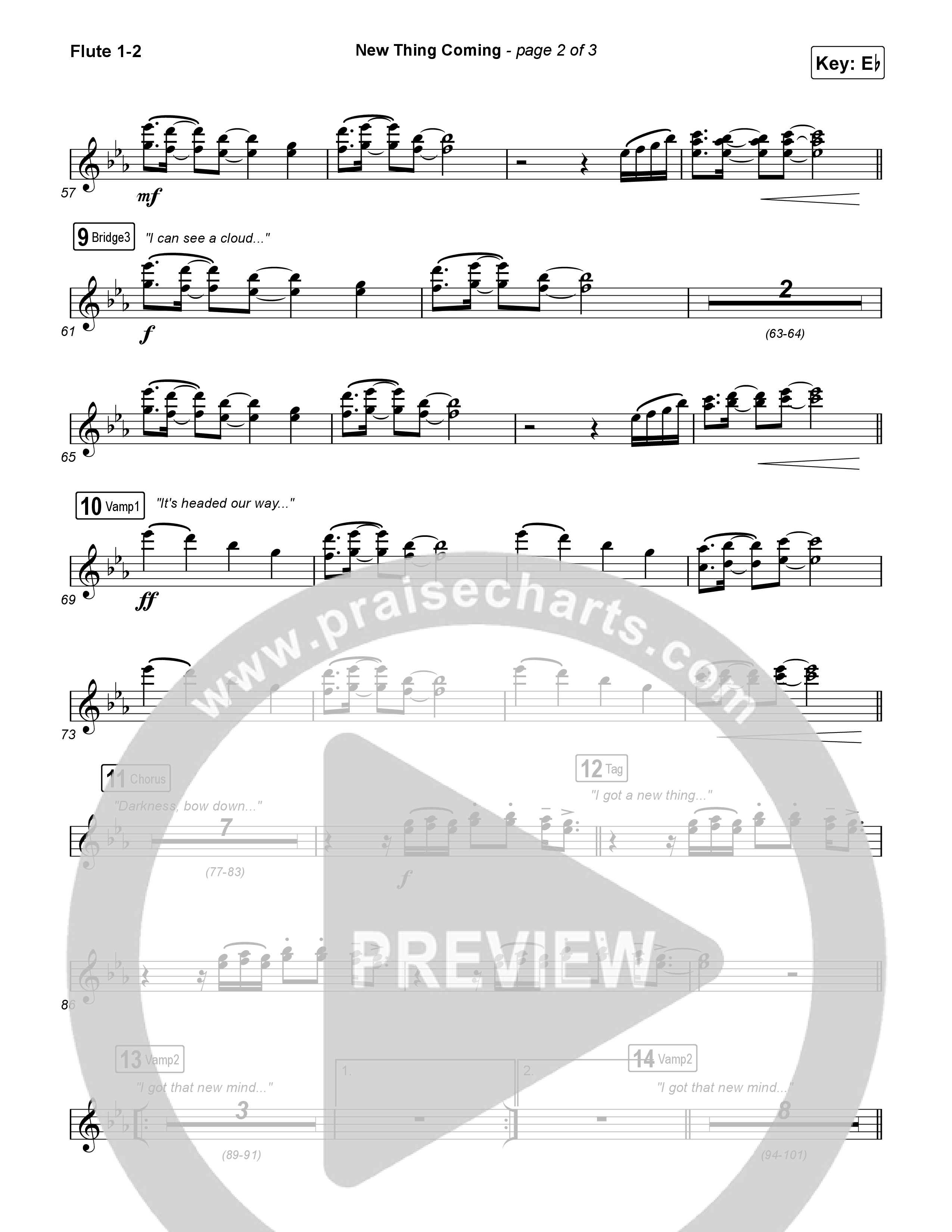 New Thing Coming Flute 1,2 (Elevation Worship / Steven Furtick / Tiffany Hudson)