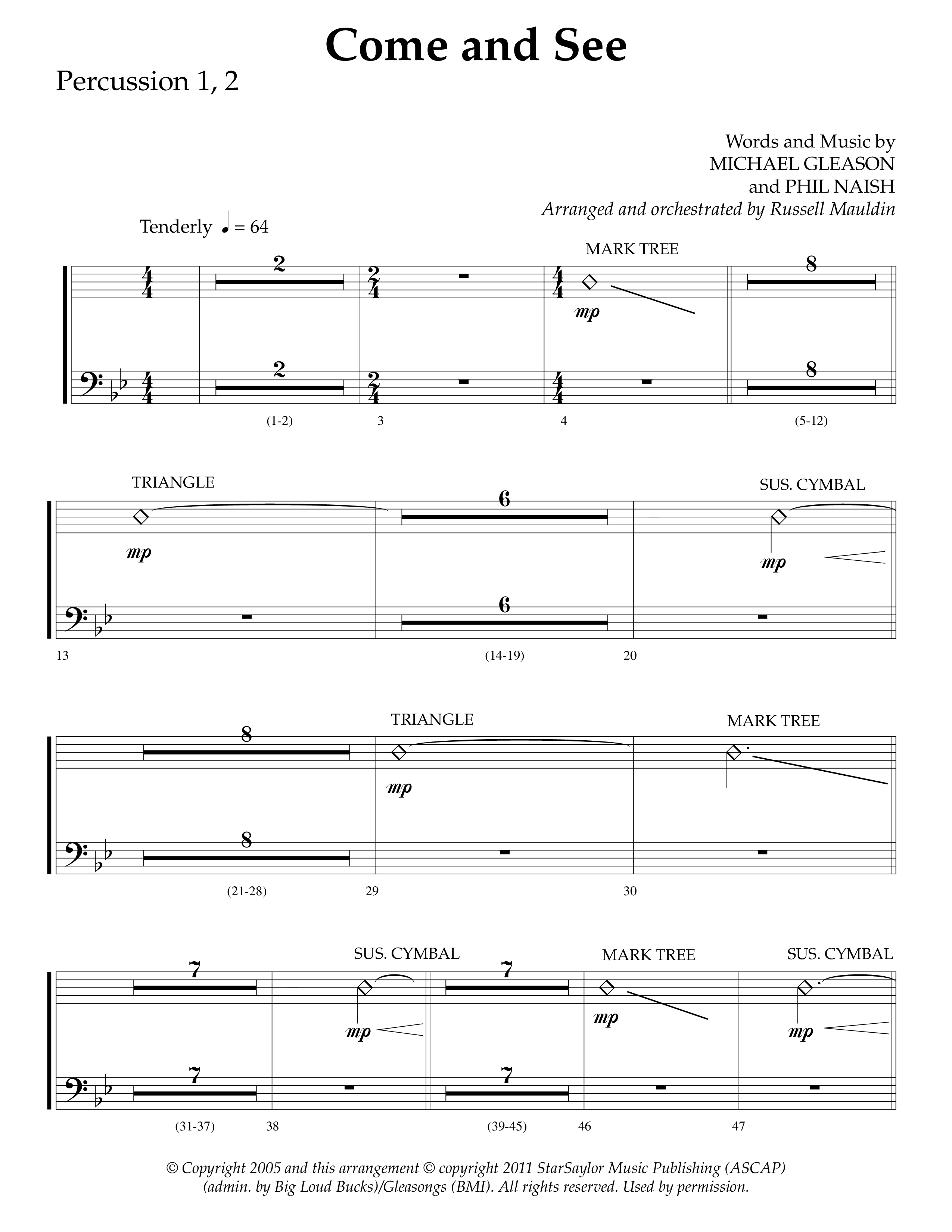 Brand New Christmas (Choral Anthem SATB) Percussion 1/2 (Lifeway Choral / Arr. Dave Williamson)