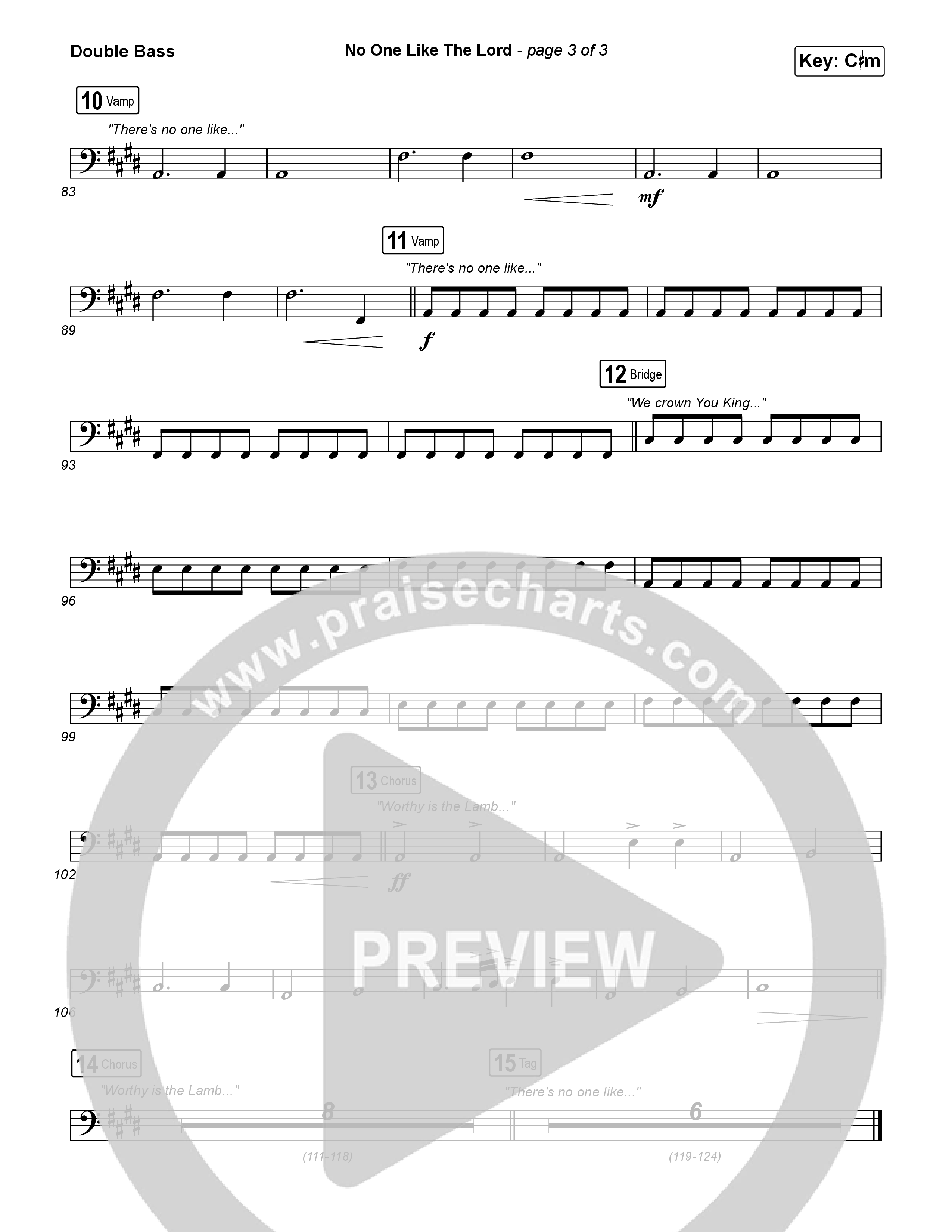 No One Like The Lord (Live) String Bass (Bethel Music / Jenn Johnson)