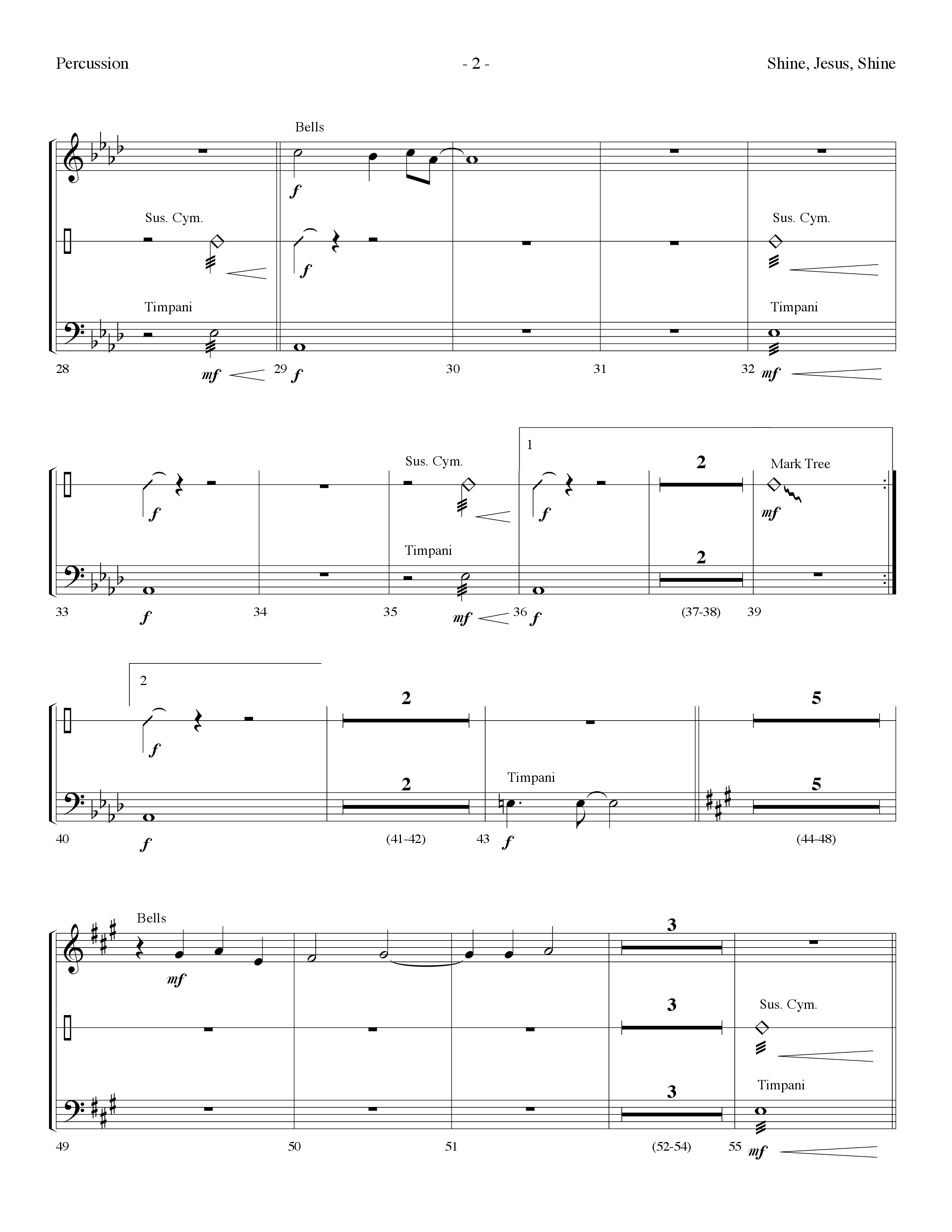 Shine Jesus Shine (Choral Anthem SATB) Percussion (Lifeway Choral / Arr. Dennis Allen)