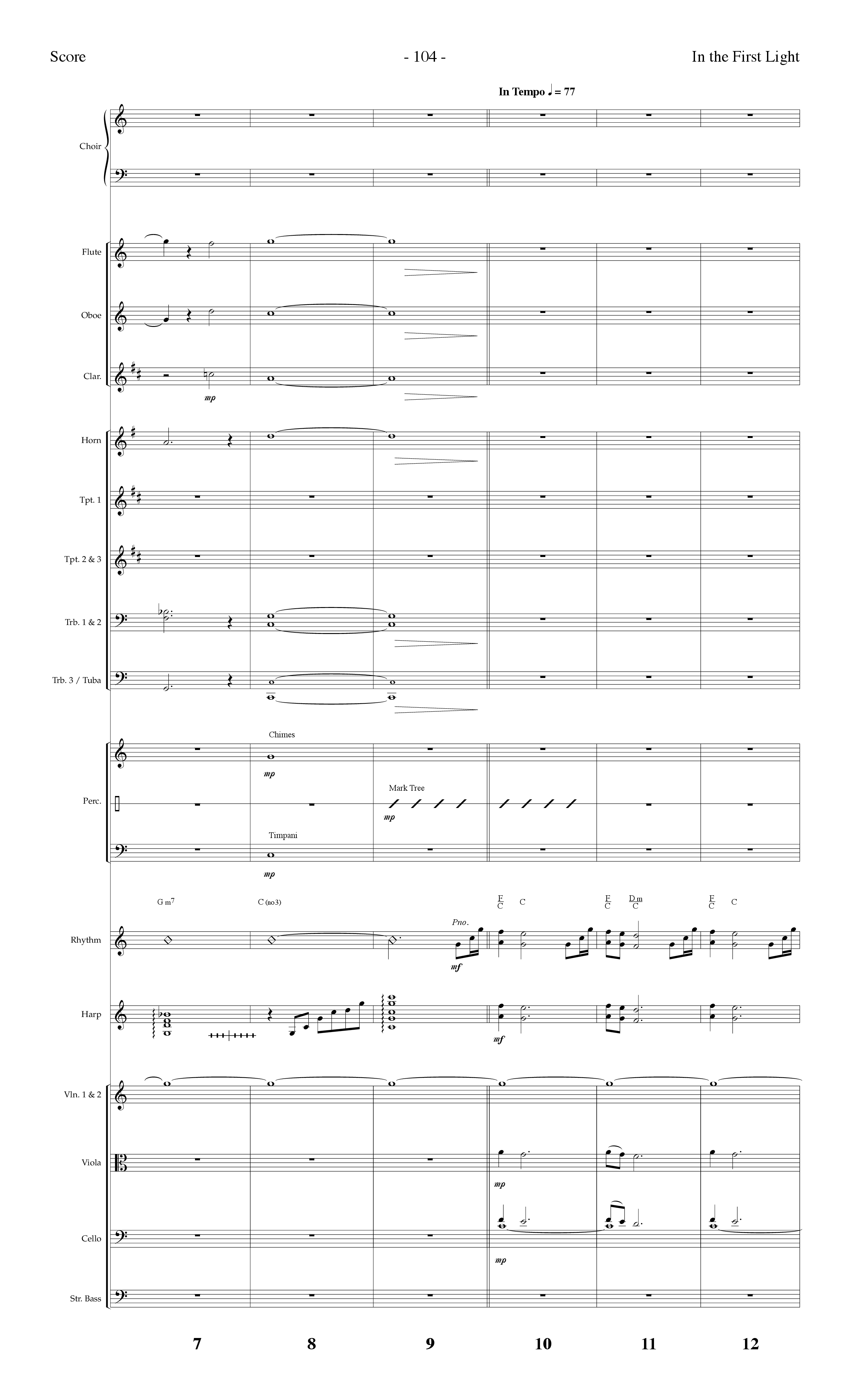 In The First Light (Choral Anthem SATB) Conductor's Score (Lifeway Choral / Arr. Dennis Allen)