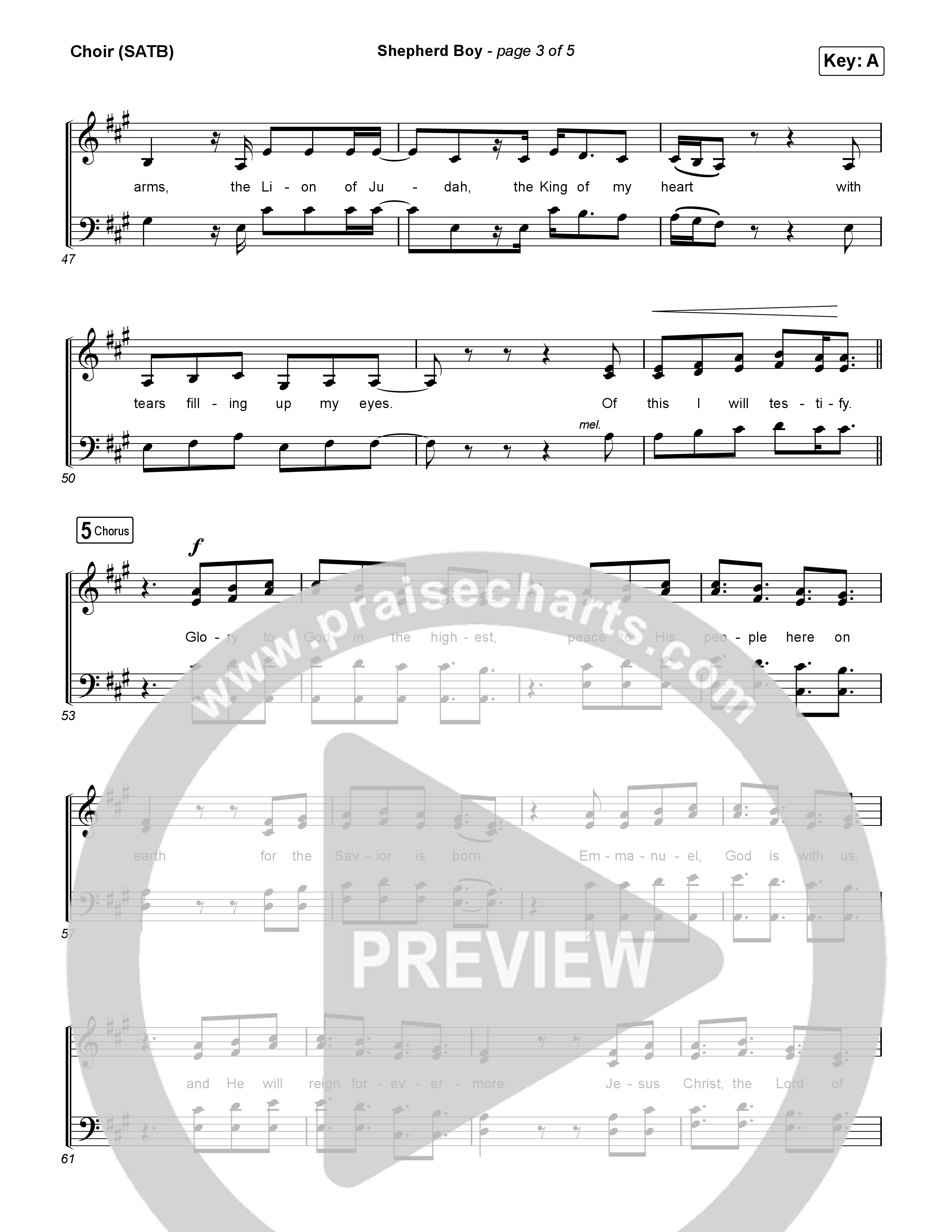 Shepherd Boy Choir Sheet (SATB) (Phil Wickham)
