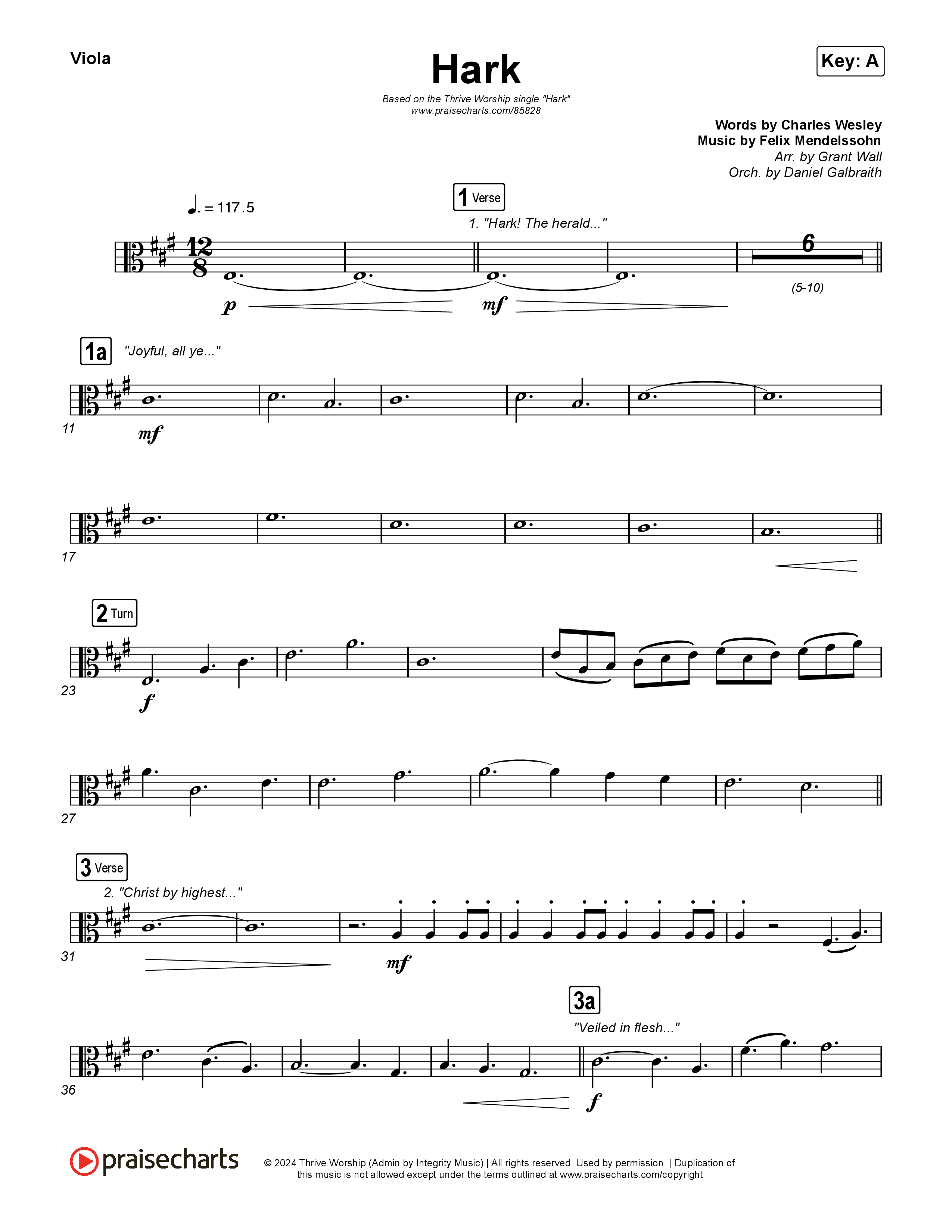 Hark Viola (Thrive Worship / Corbin Phillips)