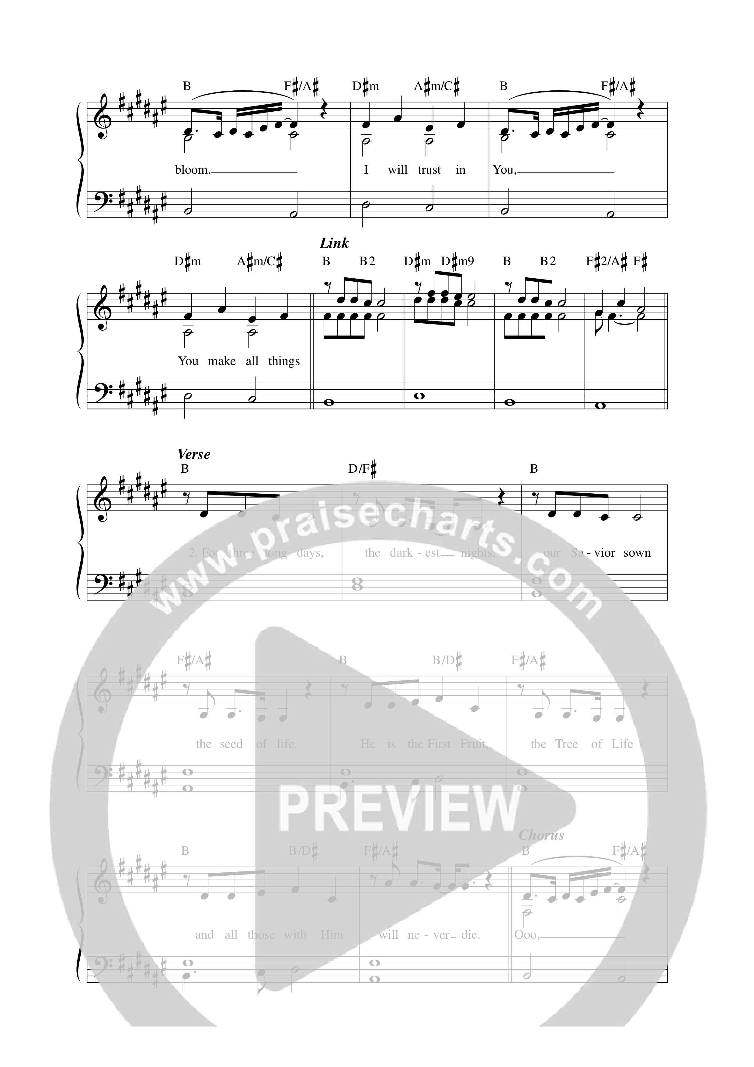 Winter Bloom Lead Sheet Melody (Sarah Kroger)