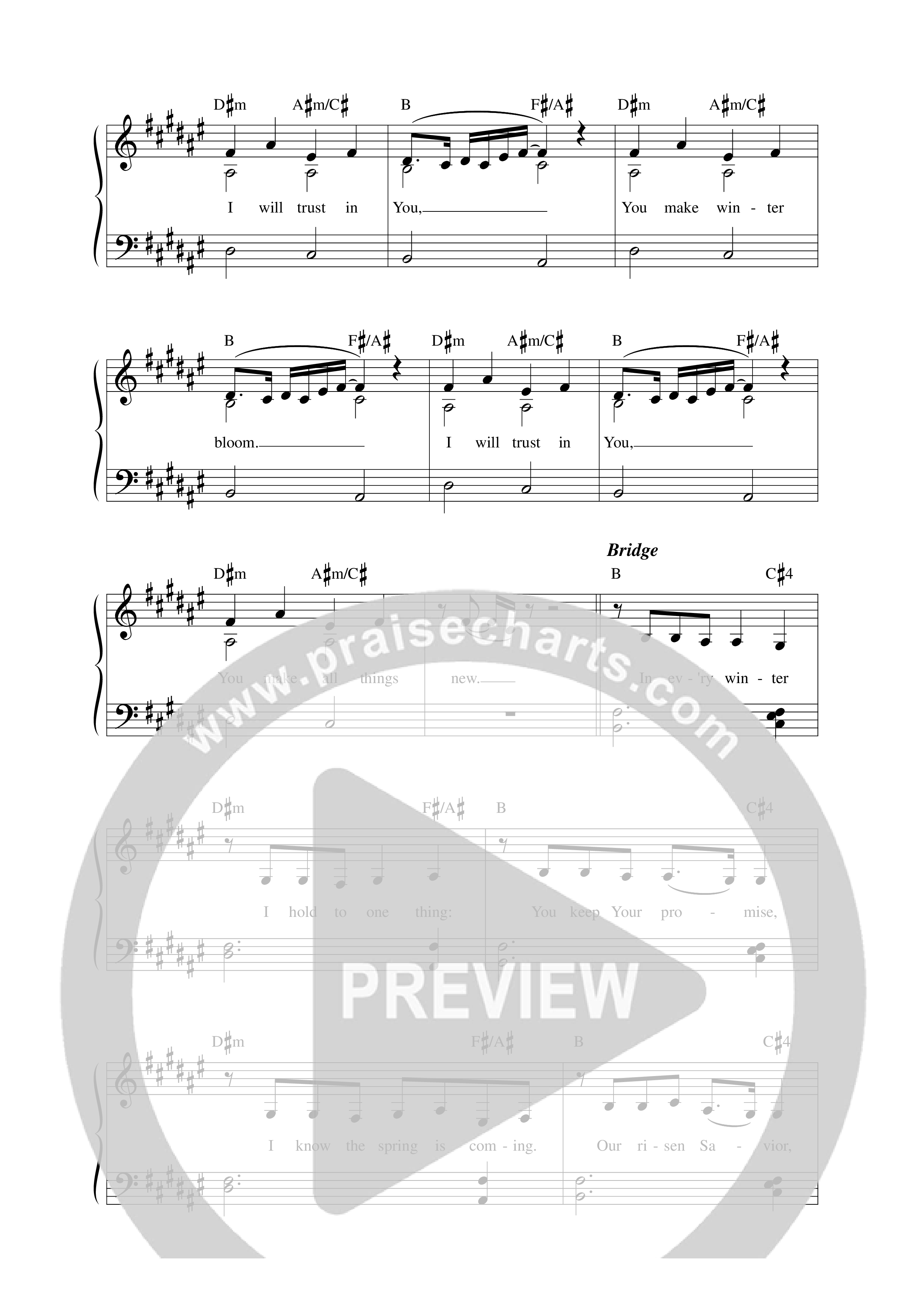 Winter Bloom Lead Sheet Melody (Sarah Kroger)